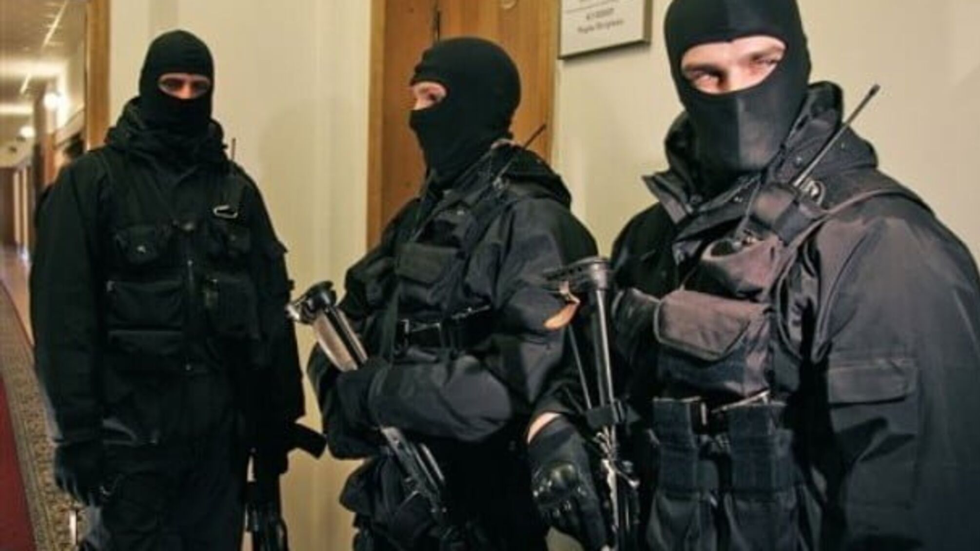 Богомолец заявила, что под личиной избитого правозащитника скрывается злостный рейдер