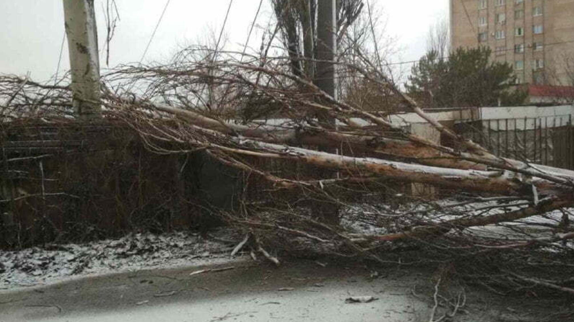 Запорізька область: за добу рятувальники 9 разів надавали допомогу населенню через негоду