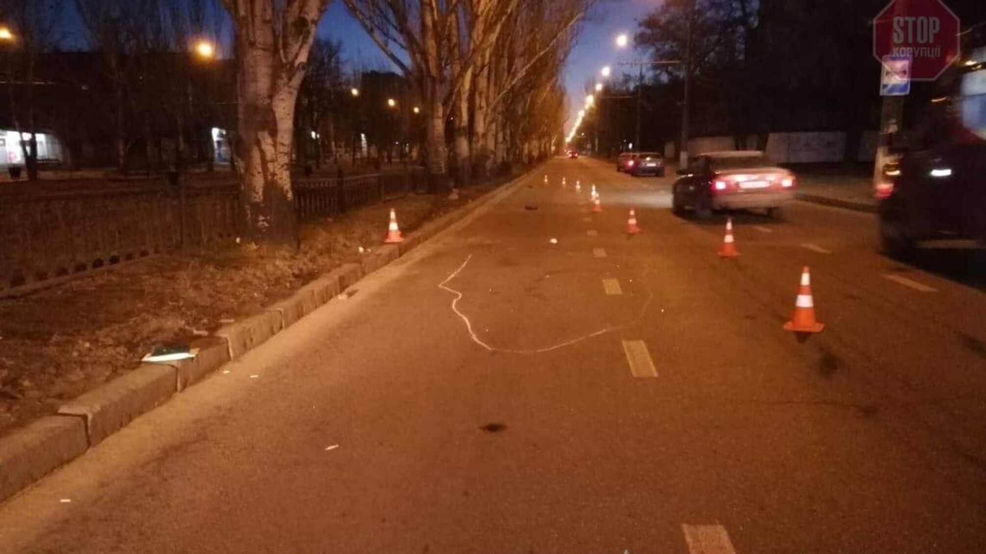 Вибігла на дорогу: в Миколаєві водій переїхав пішохода (фото)