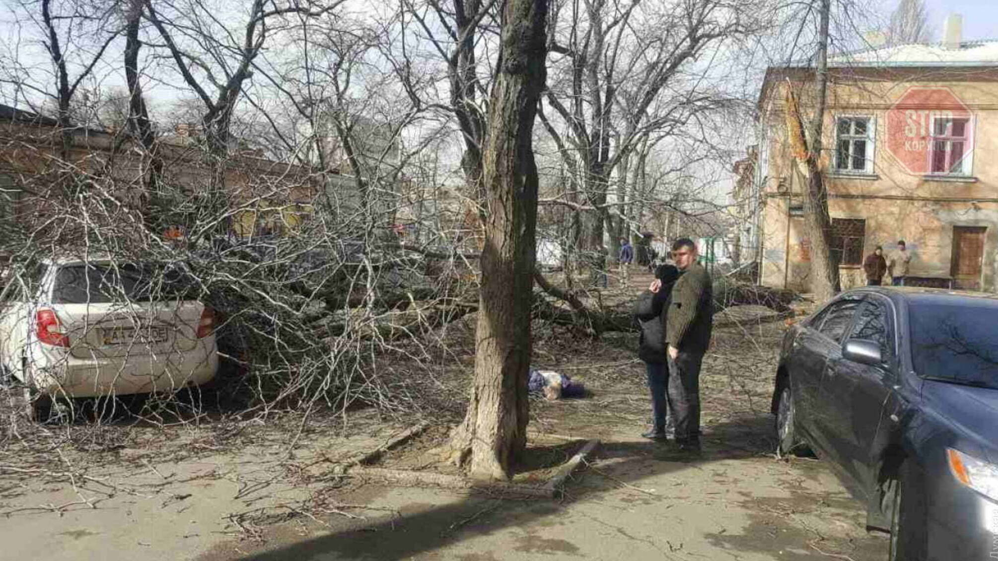 В Одесі жінку вбило дерево (фото, відео)