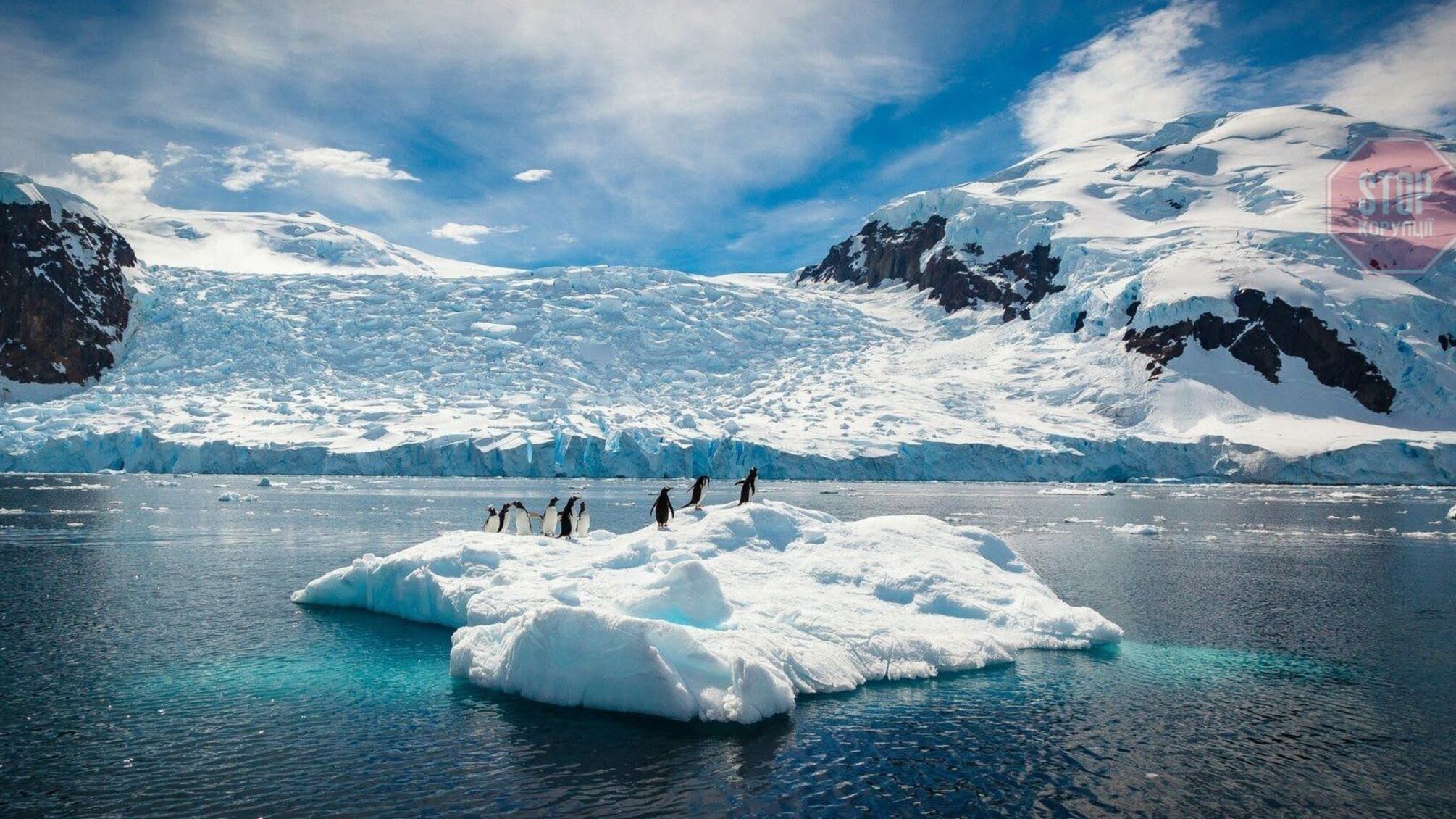 Льодова «шапка» Антарктиди стрімко тане - вчені (фото)