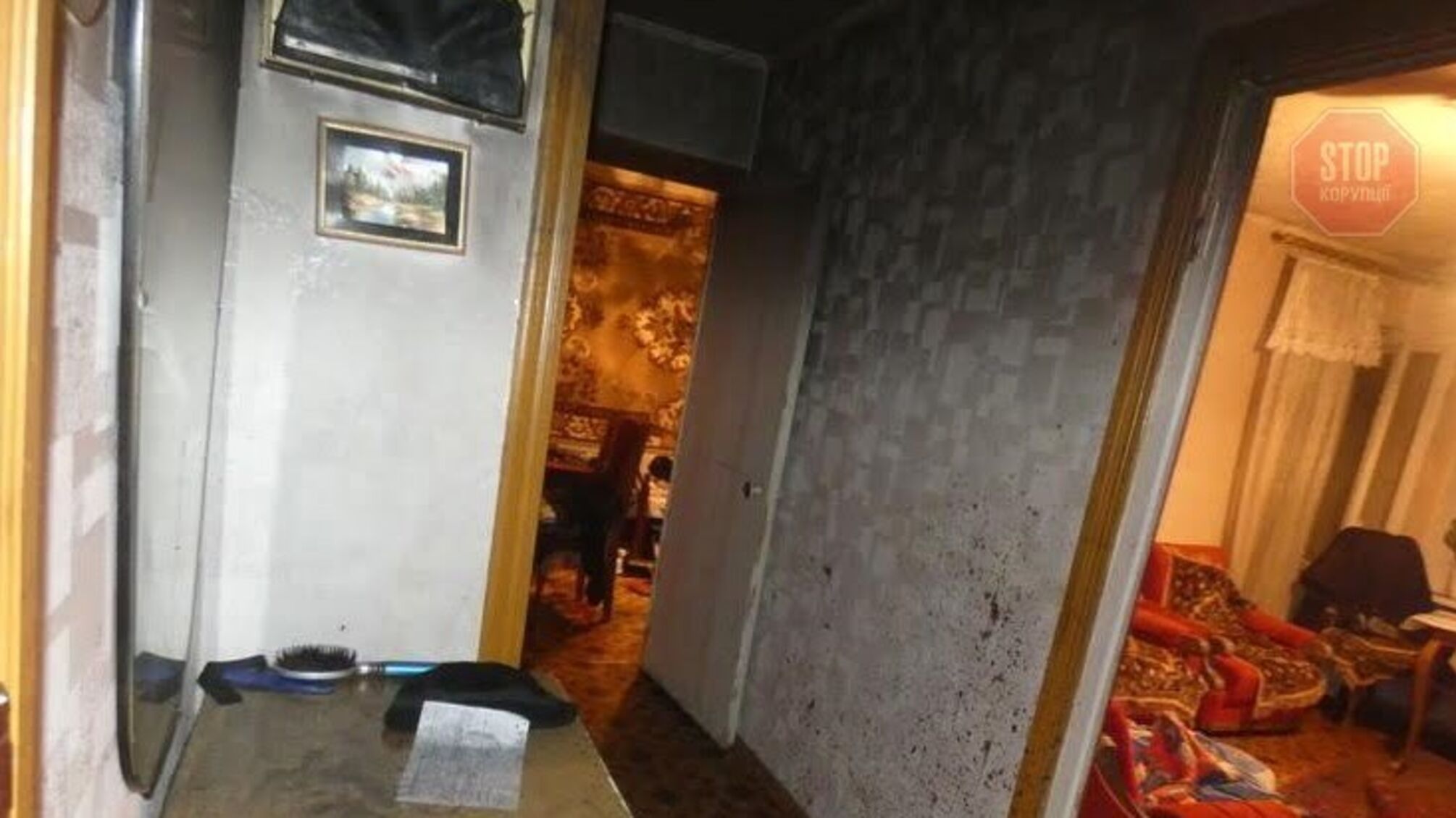 На Донеччині 20-річний хлопець вбив власних дідуся і бабусю (фото)
