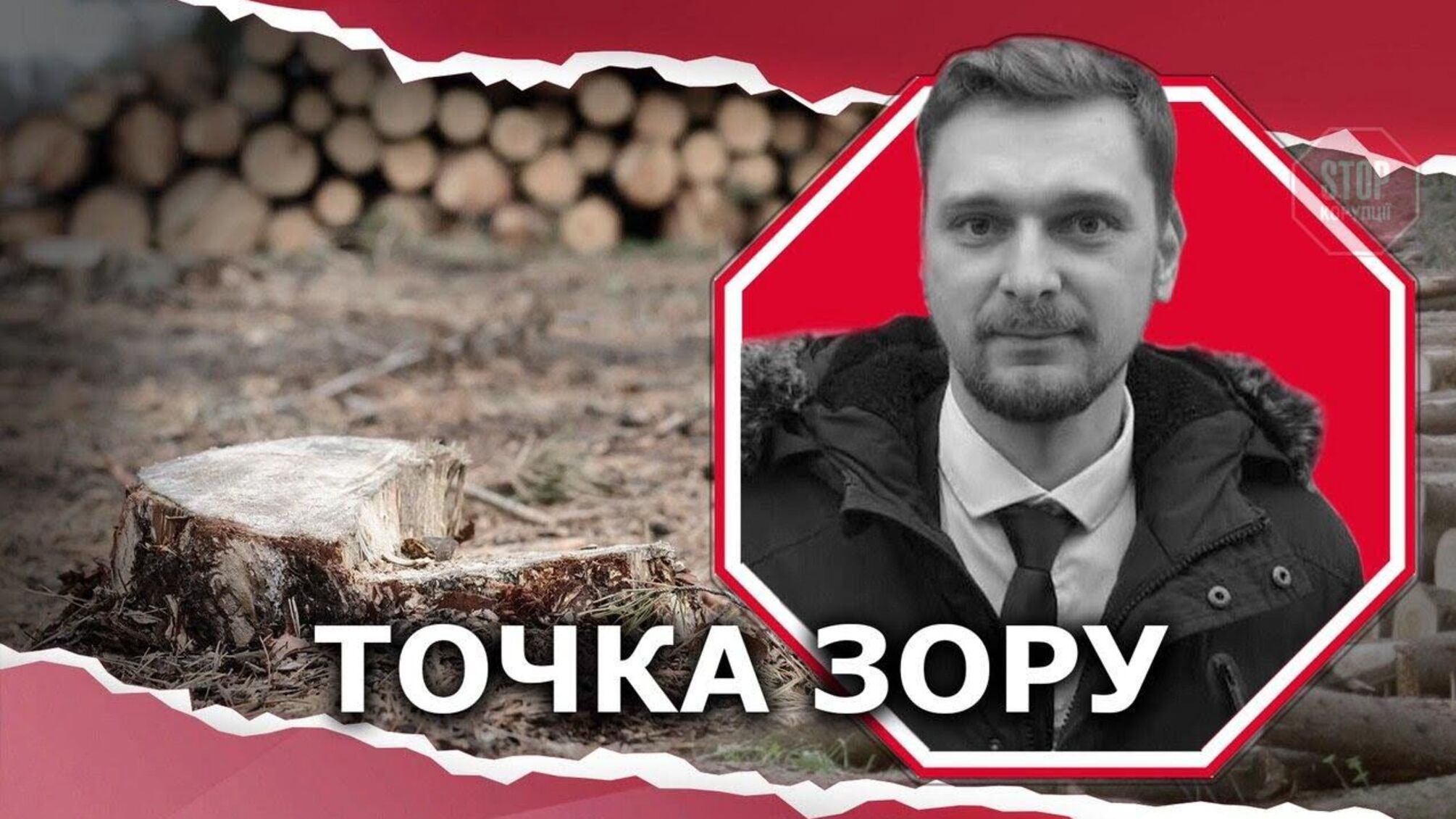 Незаконне випилювання лісів на Донбасі набрало катастрофічних та загрозливих масштабів