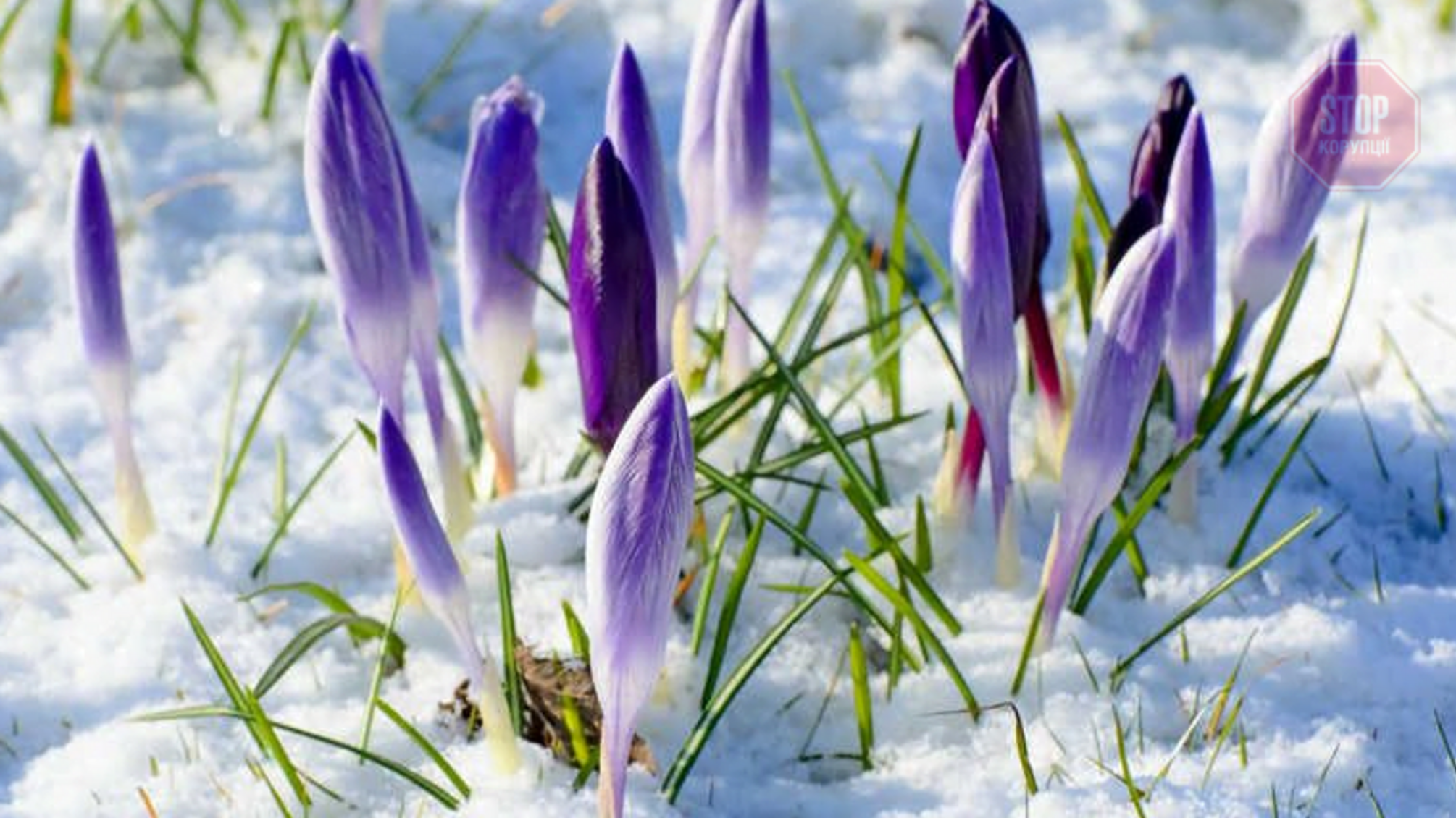 Прогноз погоди на весну: чого чекати українцям