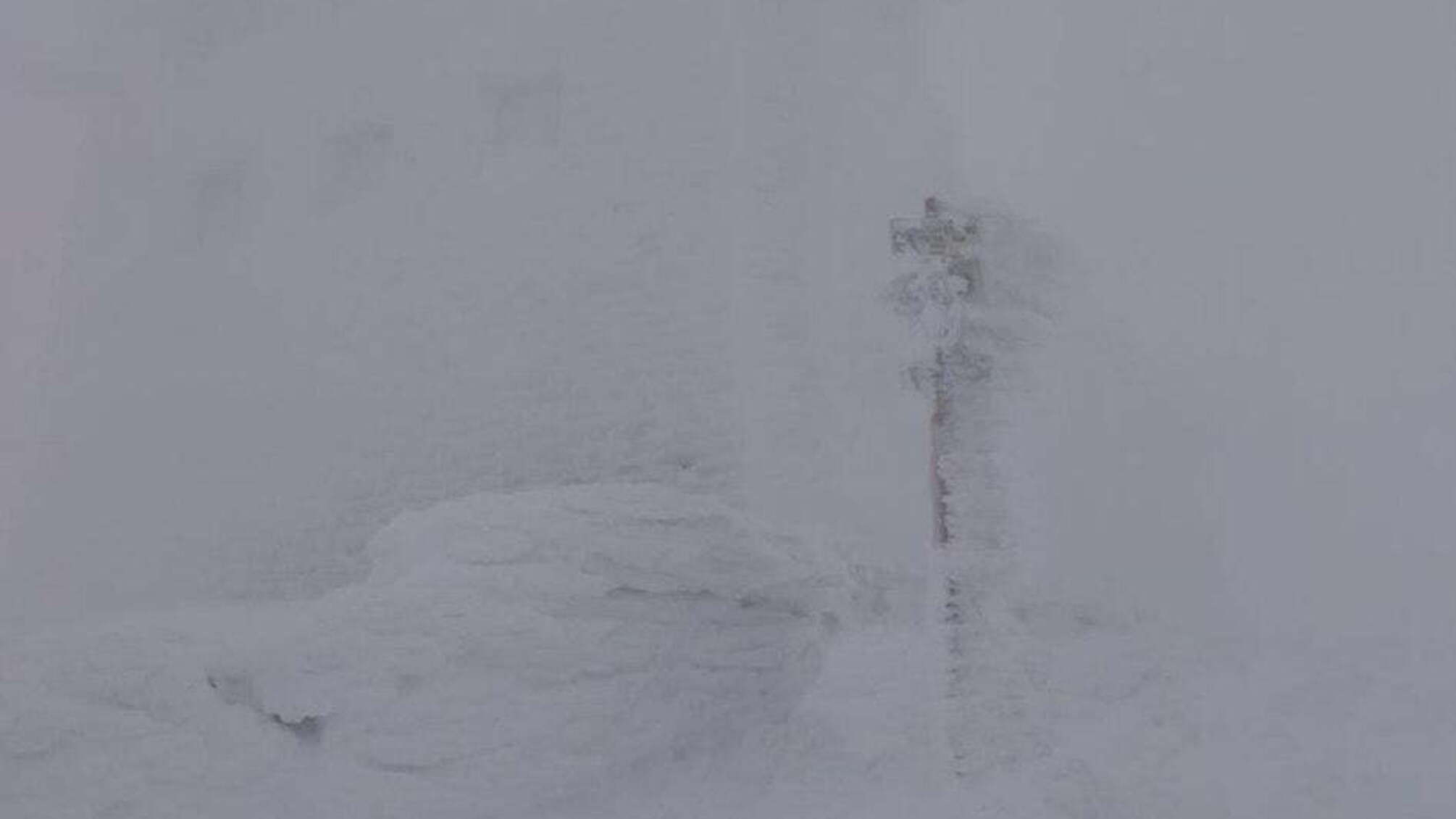 Карпати засипало снігом