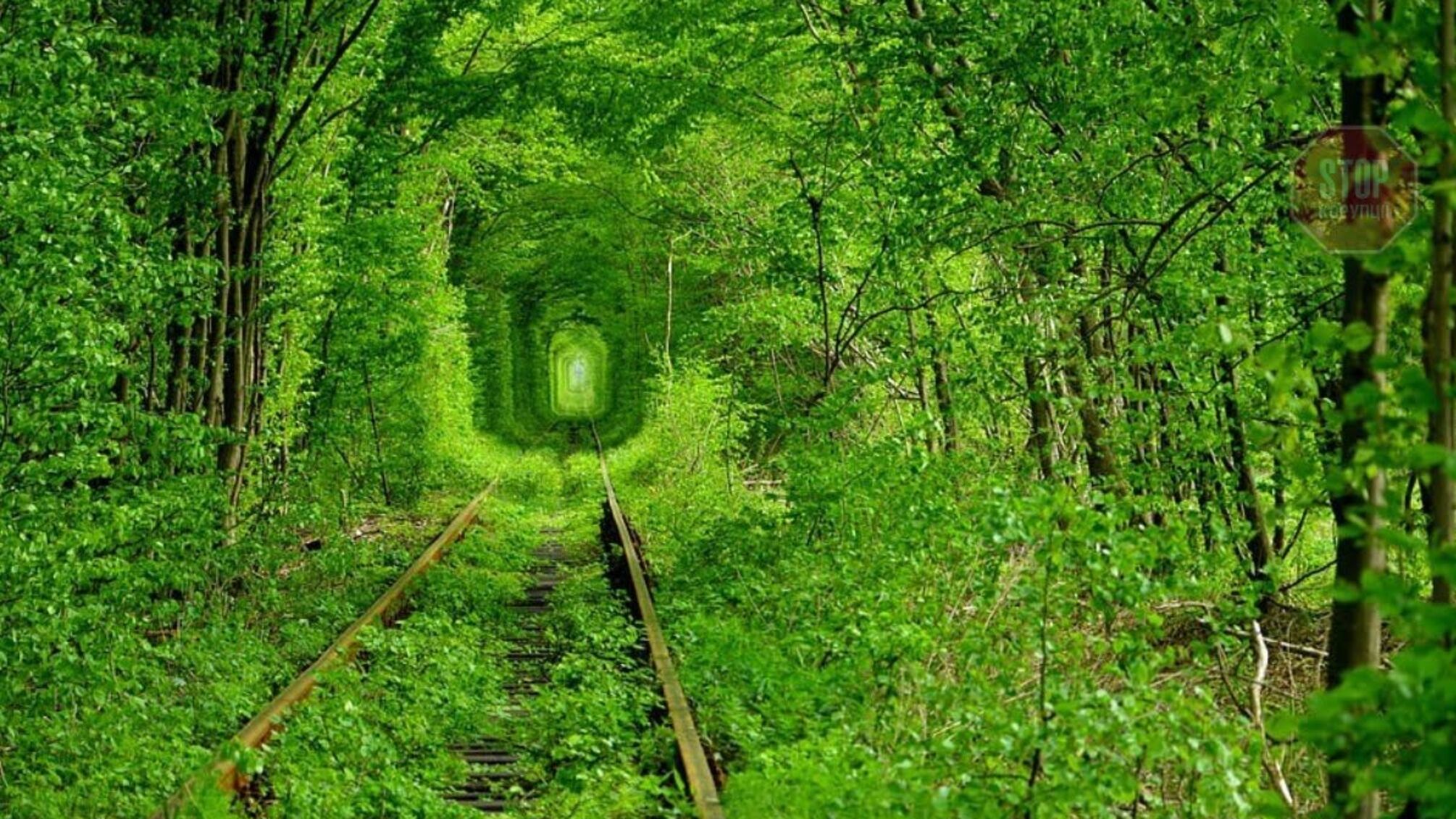 Український тунель кохання внесли в десятку найромантичніших місць світу