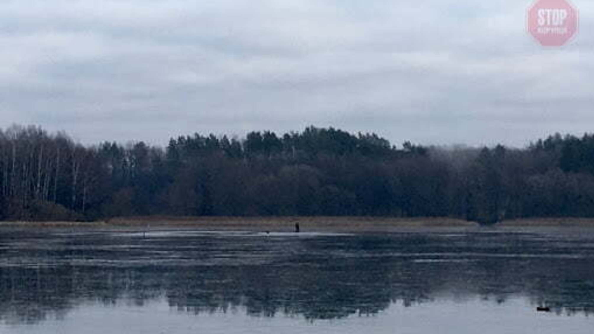 У Запорізькій області страшно загинули троє малолітніх дітей