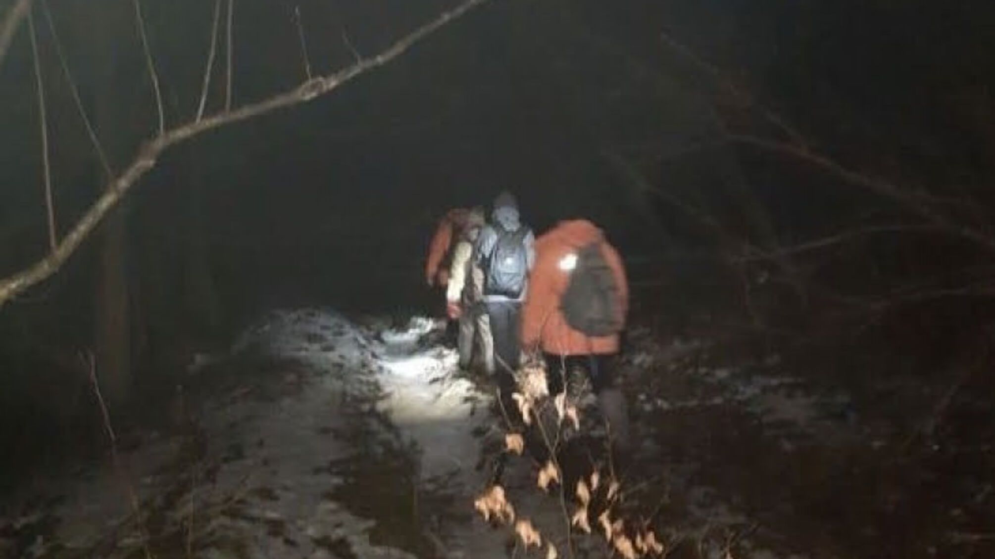 Львівська область: рятувальники знайшли двох заблукалих туристів