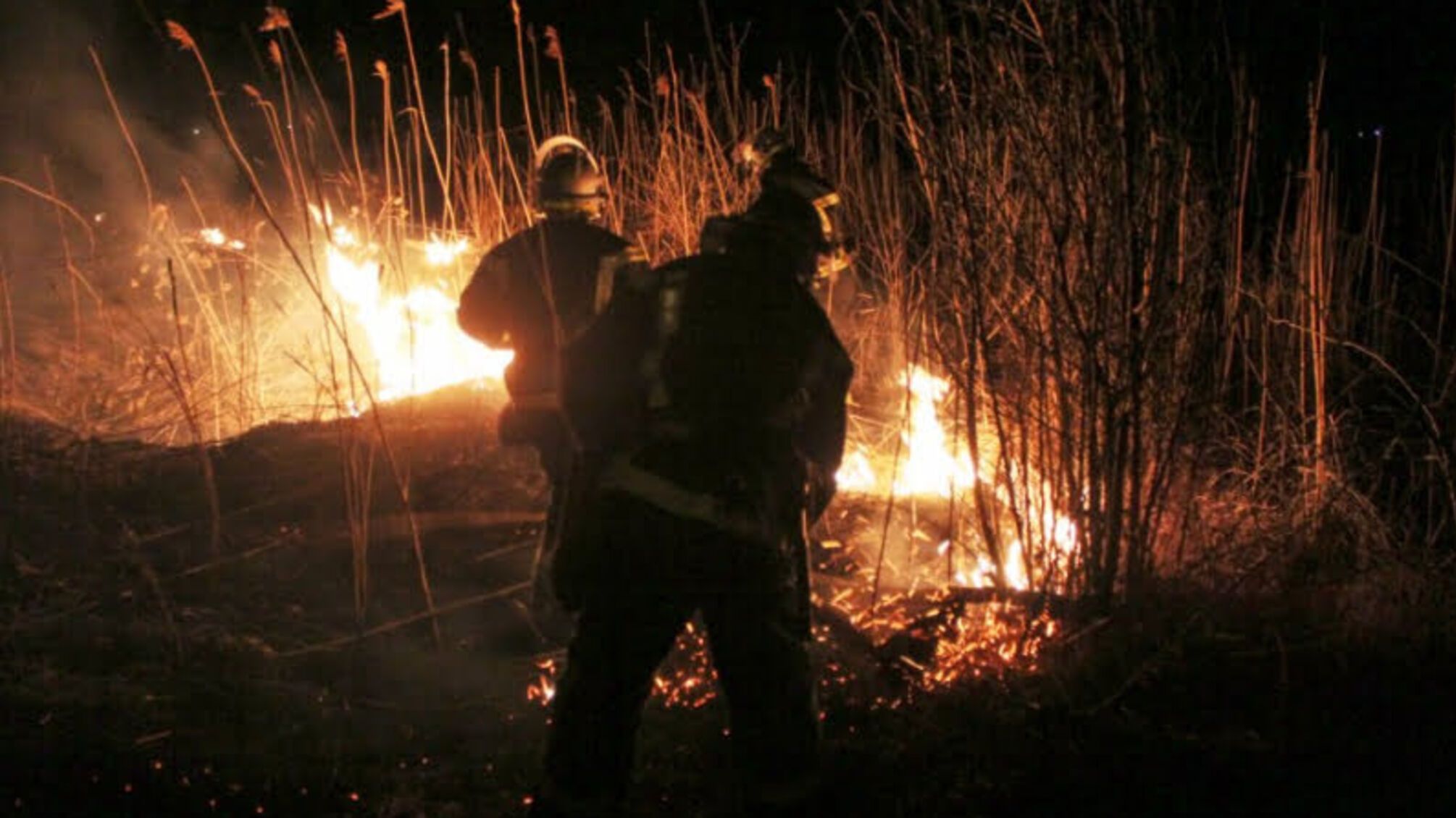 На території Дніпропетровської області в природних екосистемах виникло 28 пожеж