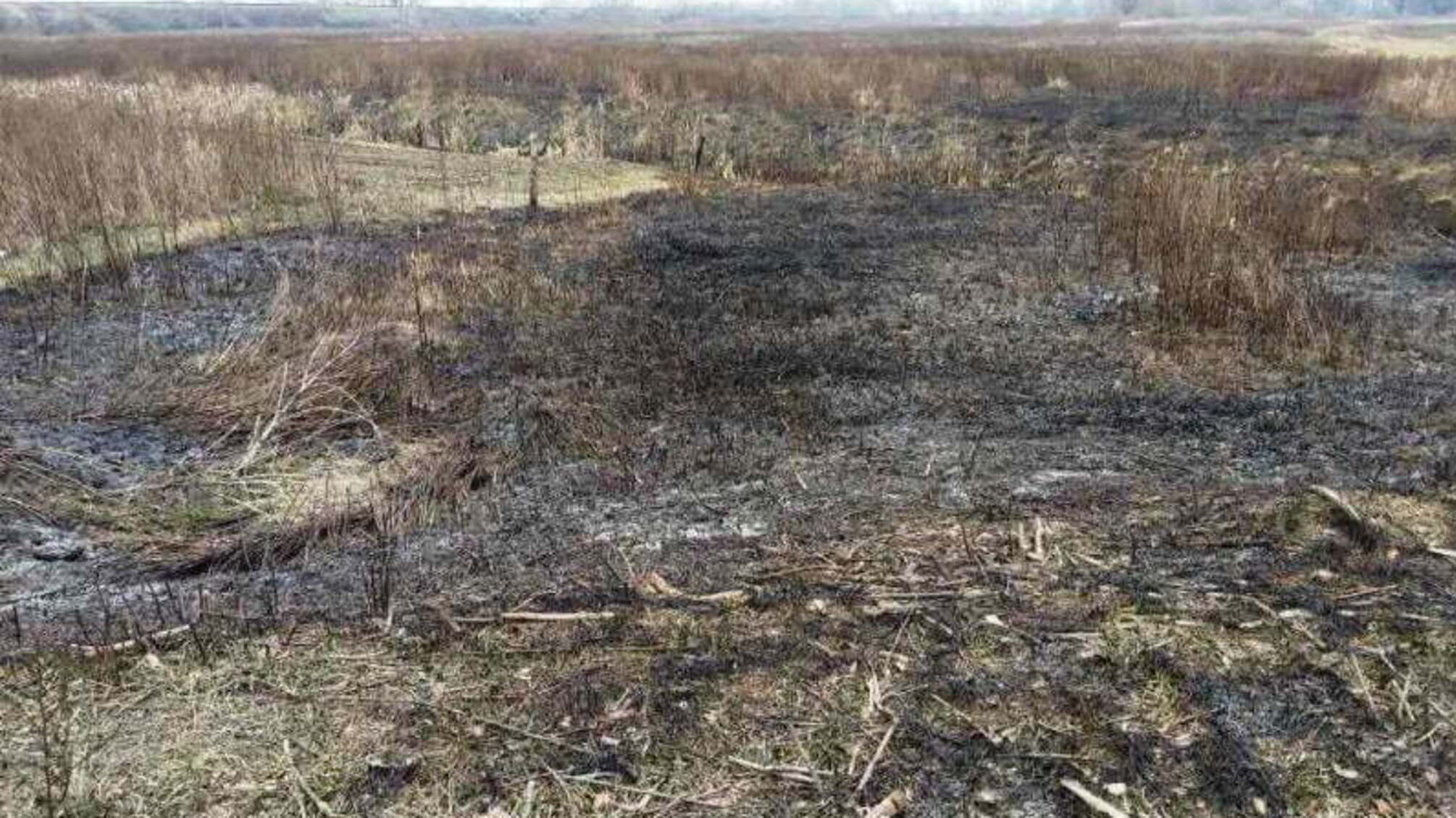Житомирська область: упродовж доби вогнеборцями ліквідовано 3 пожежі сухої трави та 1 загоряння торфу