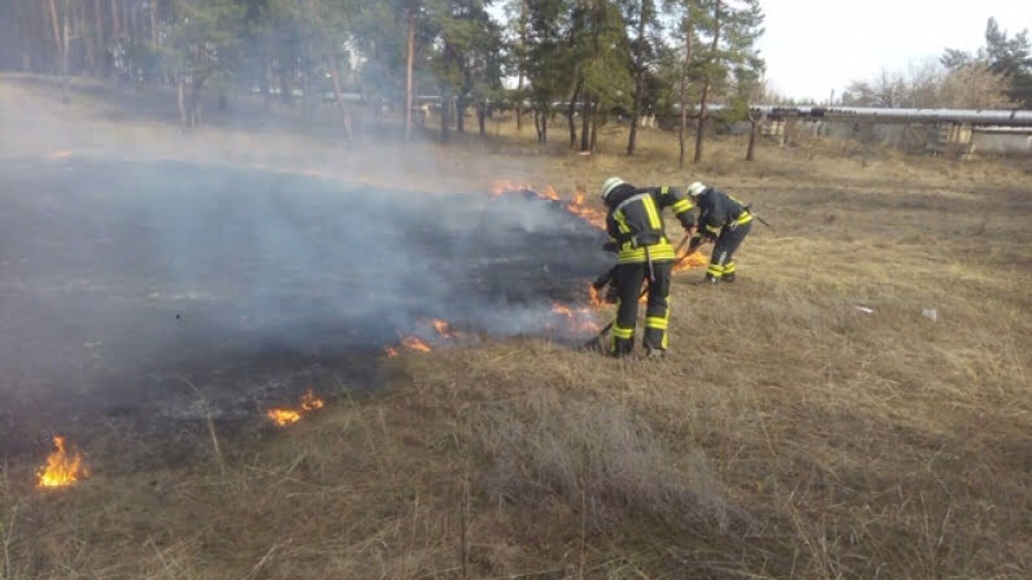 За минулу добу рятувальники Луганщини 29 разів виїжджали на гасіння сухої трави, очерету та сміття, загальною площею 41,87 га