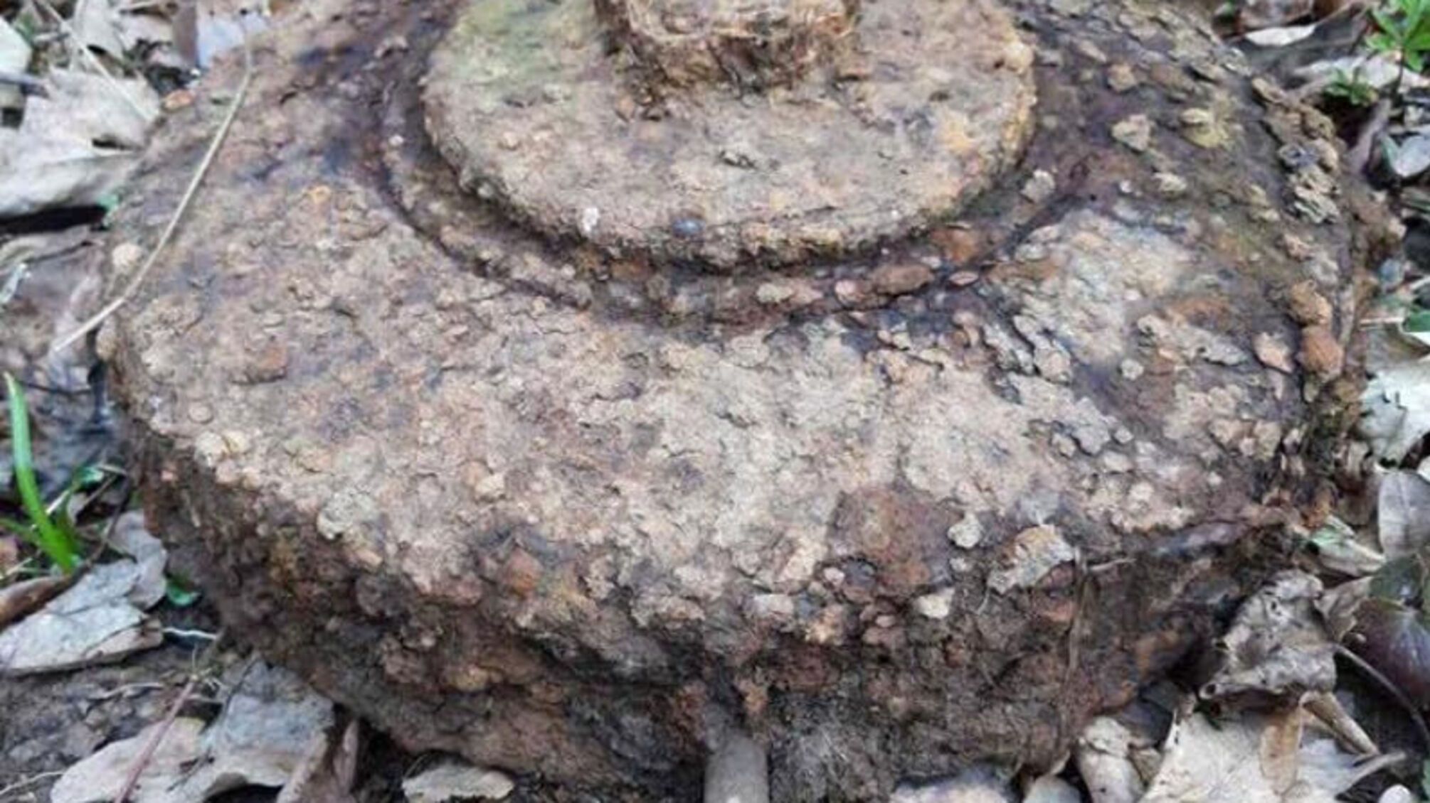 Івано-Франківська область: піротехніки знищили 2 застарілі боєприпаси на Прикарпатті