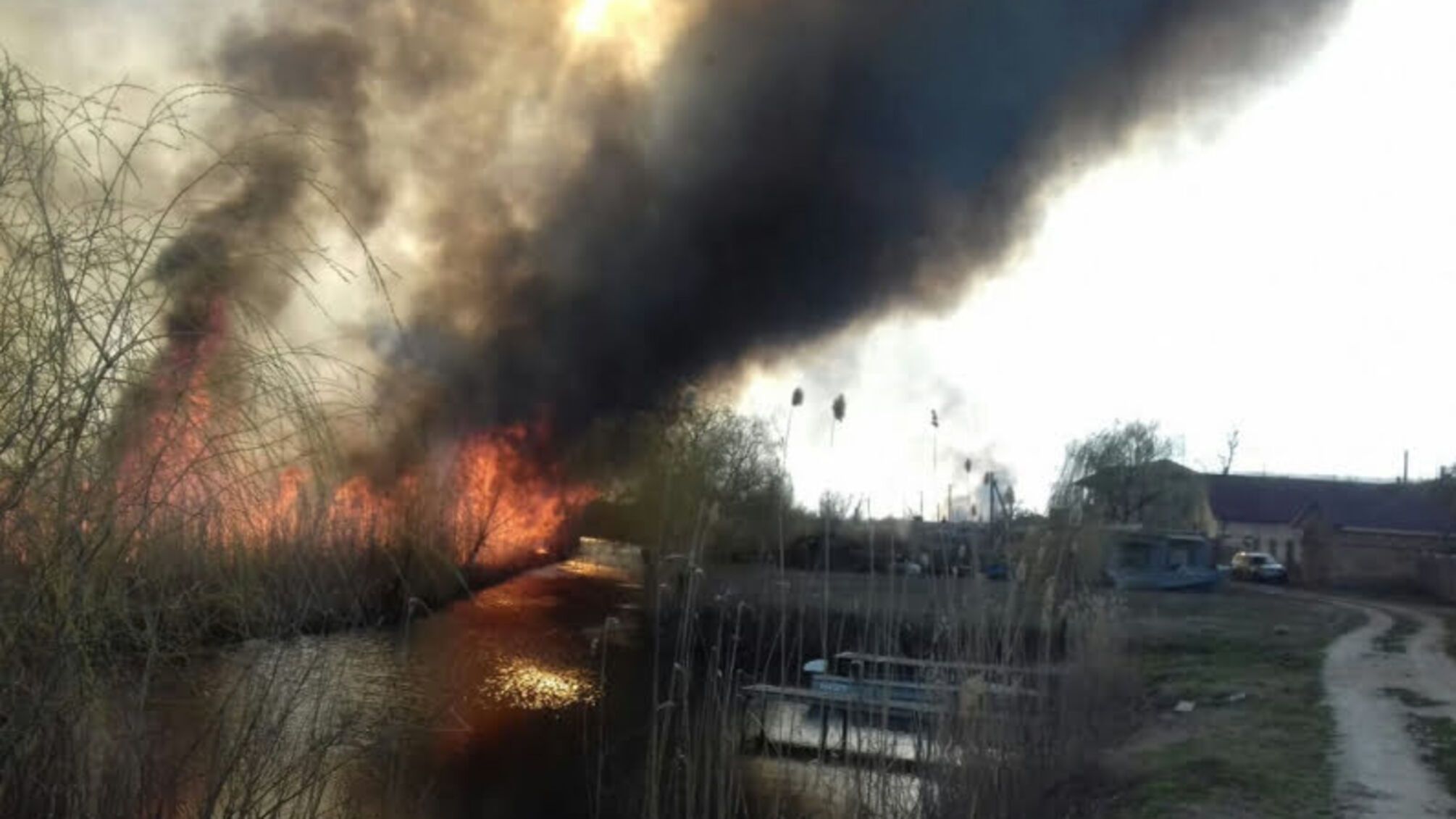 Херсонщина: за минулу добу в екосистемах області ліквідовано 6 пожеж