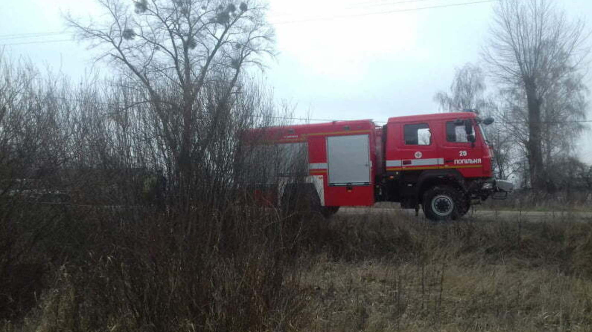 Житомирська область: упродовж доби вогнеборцями області ліквідовано два загоряння сухостою