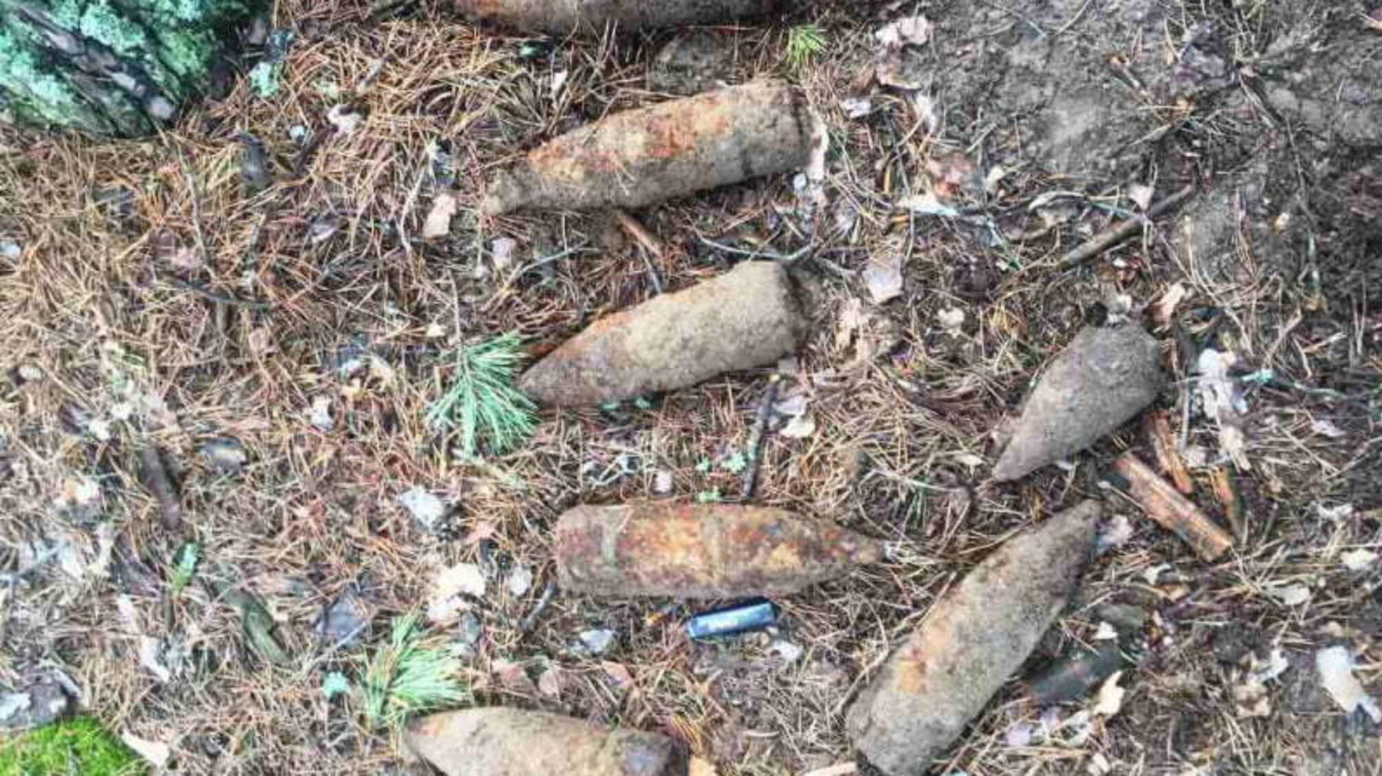 Житомирська область: групою піротехнічних робіт знищено 11 боєприпасів часів минулих війн