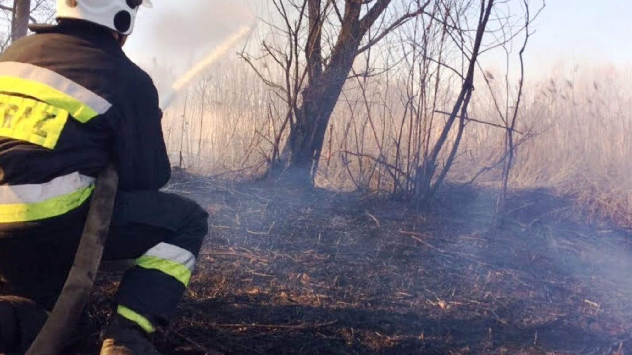 Упродовж доби вогнеборці Чернігівщини ліквідували 4 пожежі, що виникли у природних екологічних системах