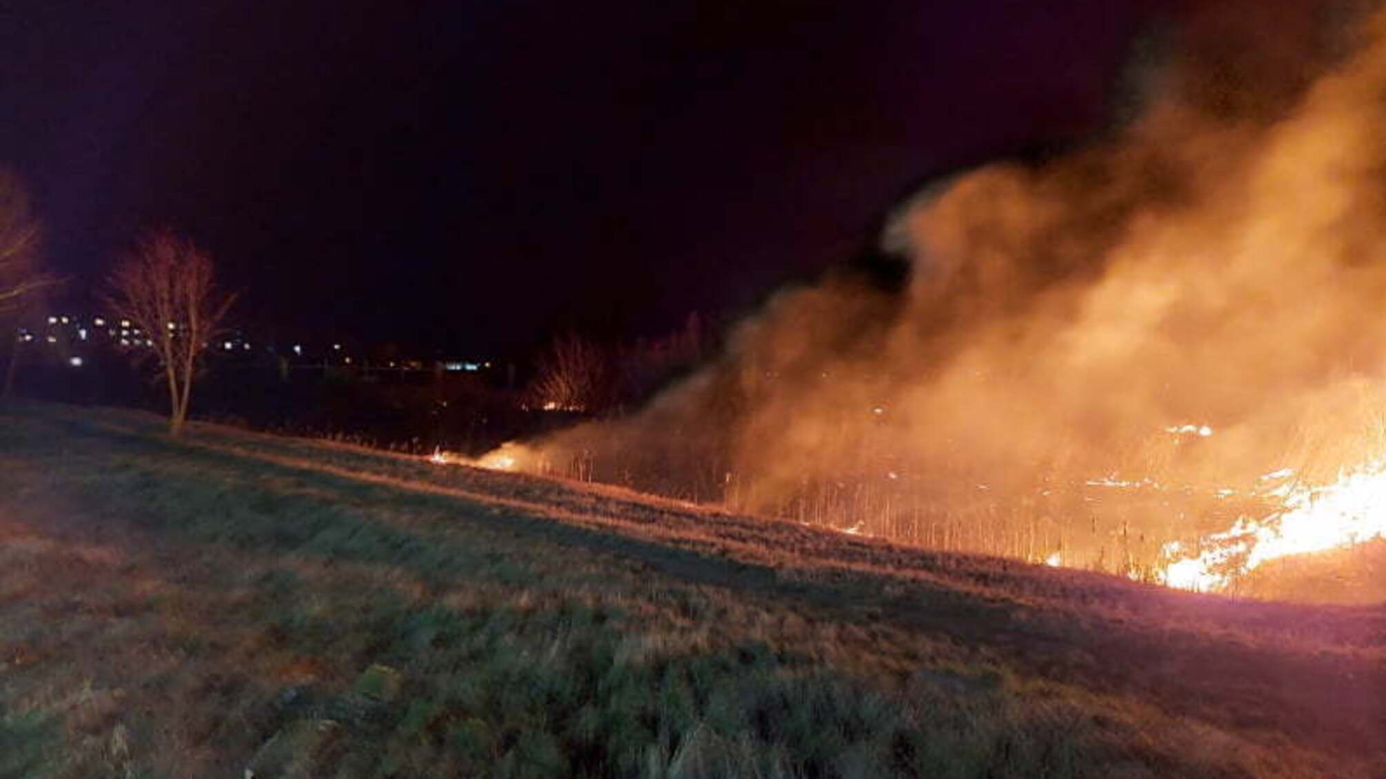 Житомирська область: за добу вогнеборцями області ліквідовано 16 пожеж, спричинених загорянням сухої трави