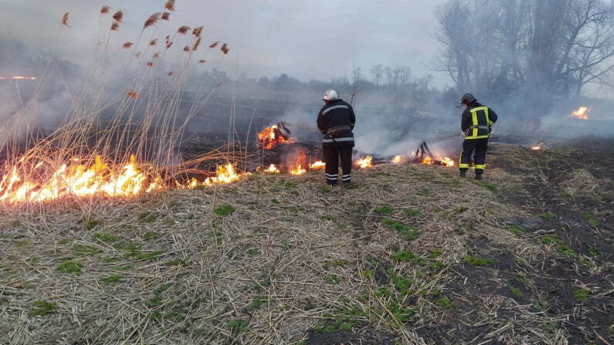 Кіровоградська область: минулої доби вогнеборці ліквідували 10 займань різного характеру