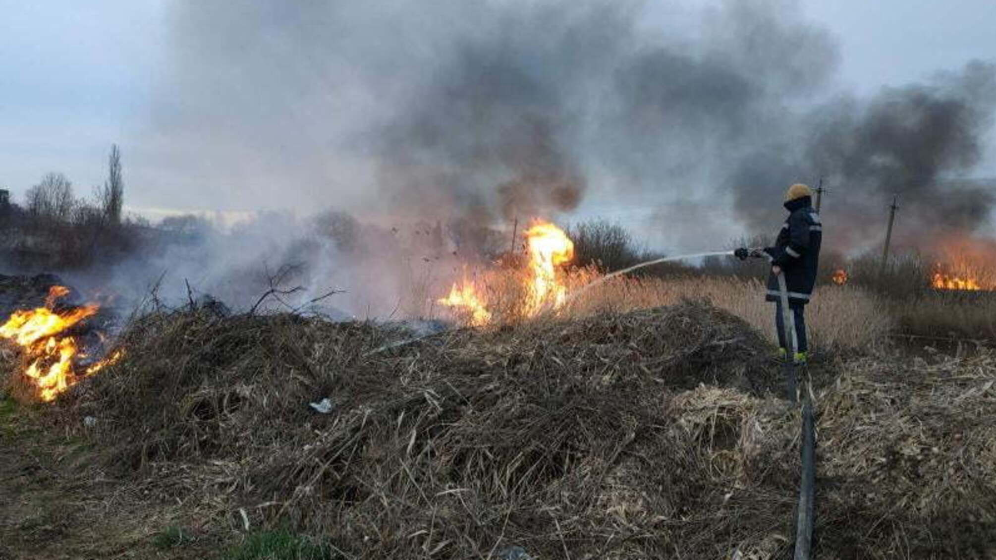 Житомирська область: за добу вогнеборцями області ліквідовано 20 пожеж, спричинених загорянням сухої трави.