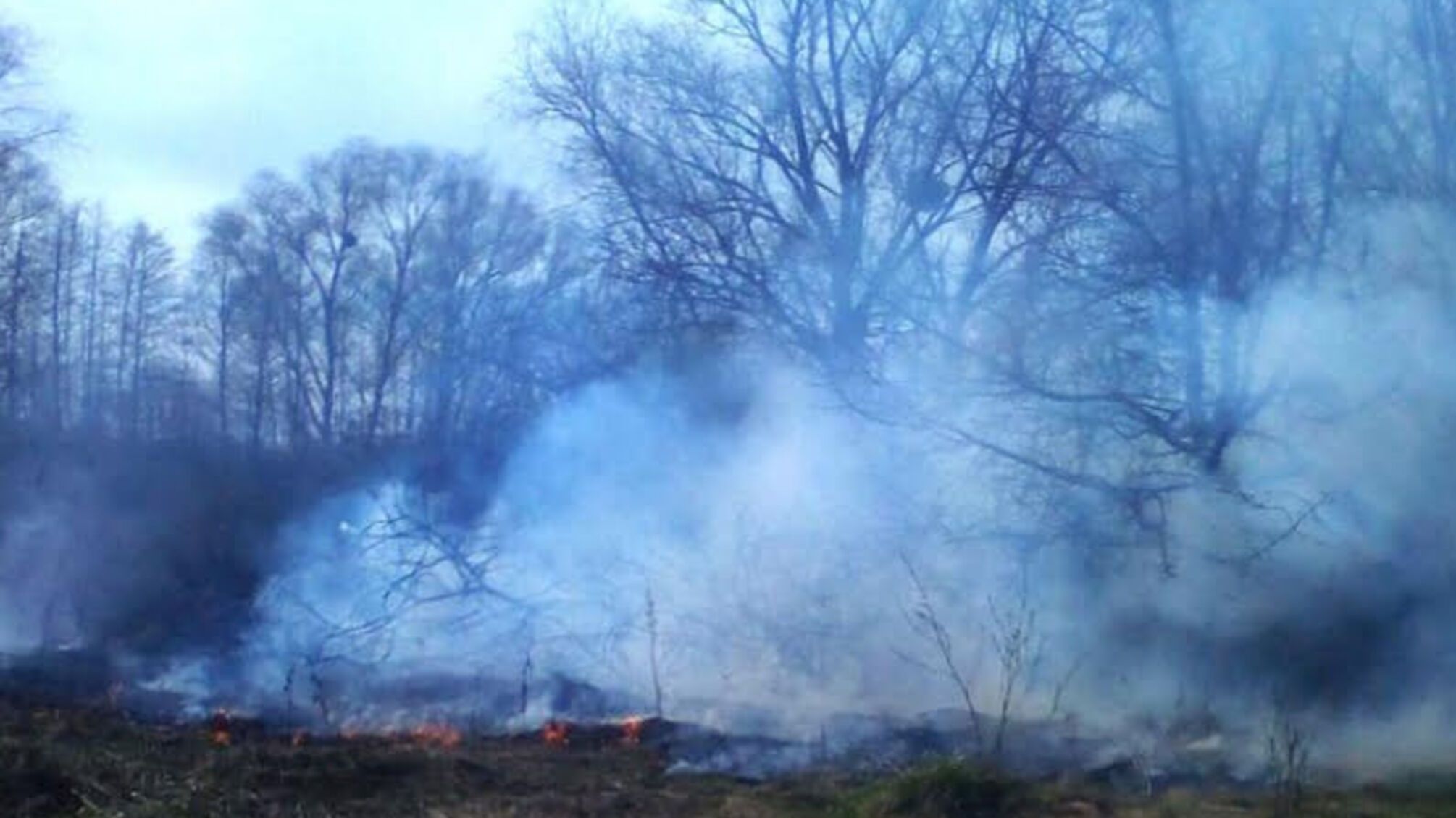 Полтавська область: вогнеборці загасили 14 пожеж на відкритій території