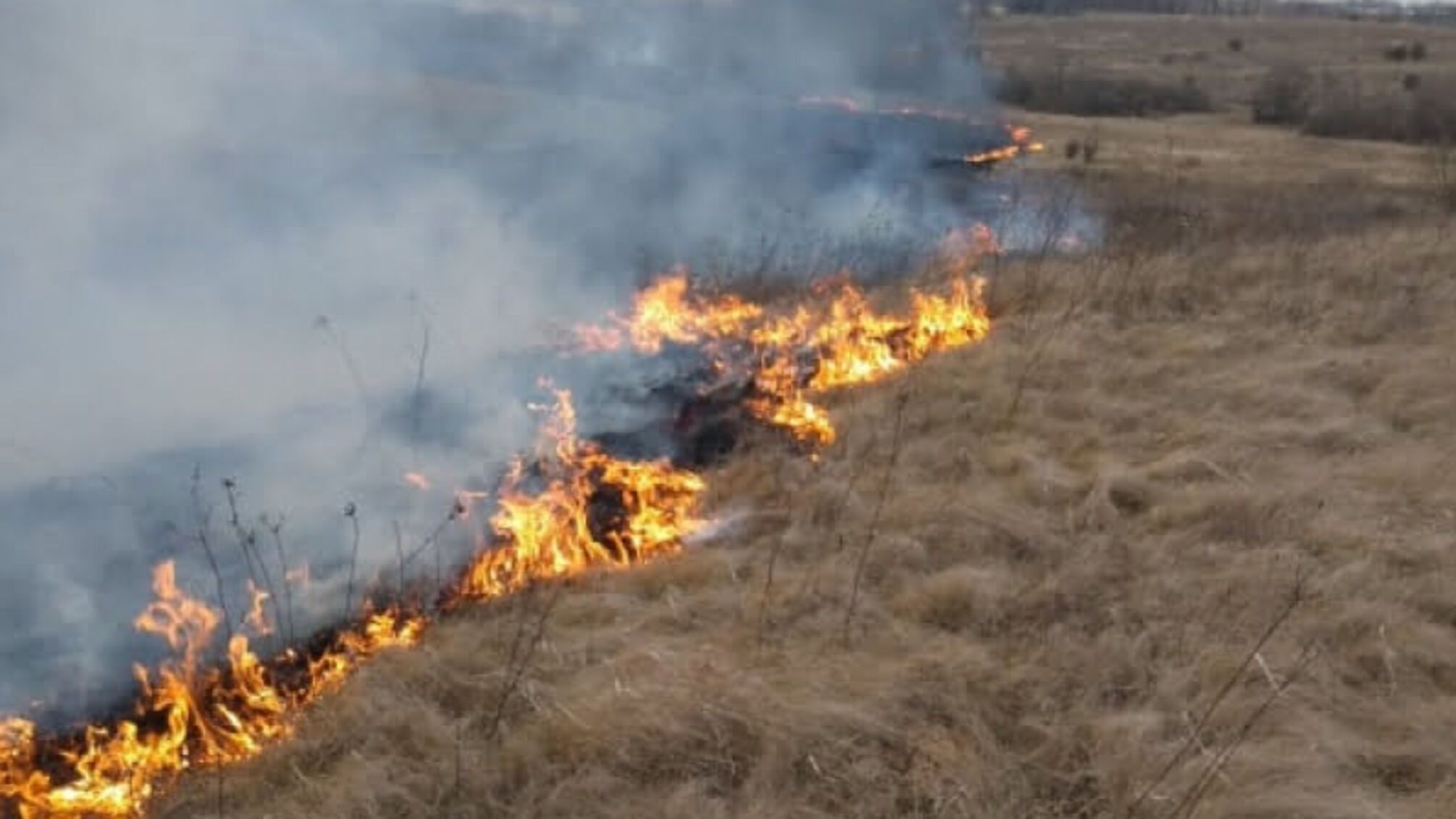 Вінницька область: за добу ліквідовано 22 пожежі сухої рослинності