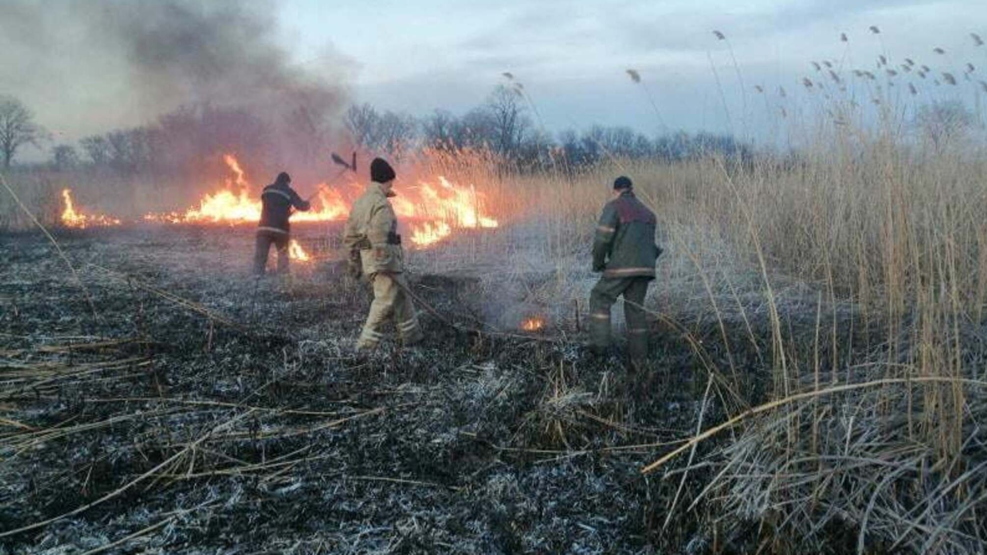 Дніпропетровська область: підпалили листя – знищили 2 гектари (ВІДЕО)