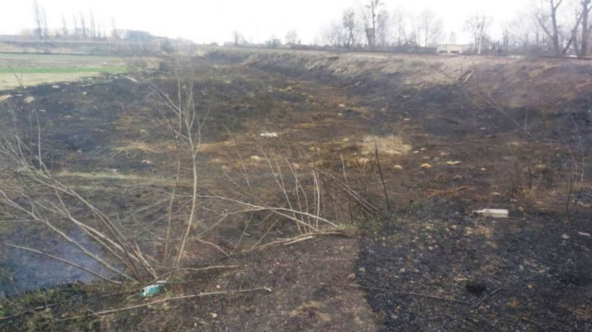 Житомирська область: упродовж доби вогнеборці ліквідували 23 загоряння у природних екосистемах