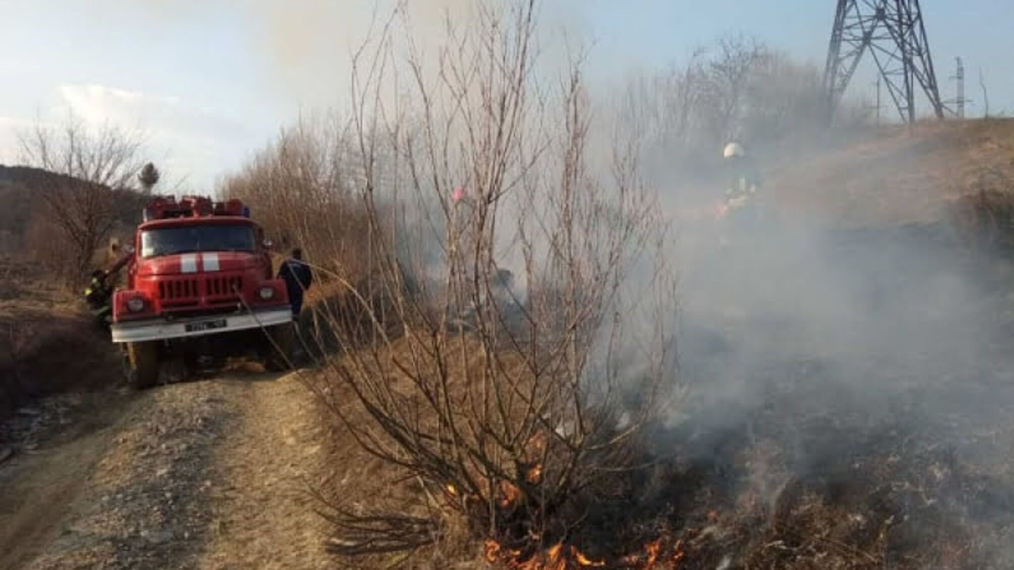 На Львівщині пожежа сухої трави ледь не знищила сонячну електростанцію.