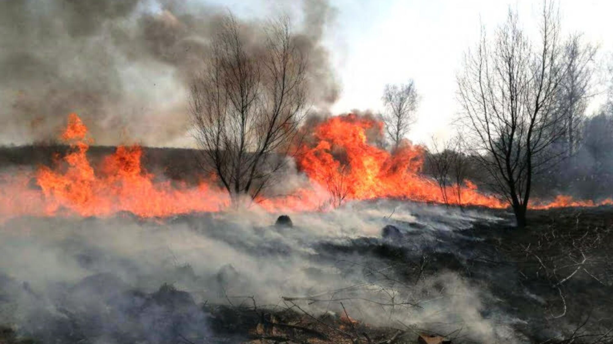 Упродовж минулої доби на Чернігівщині вогнеборці ліквідували 16 пожеж, що виникли в природних екосистемах
