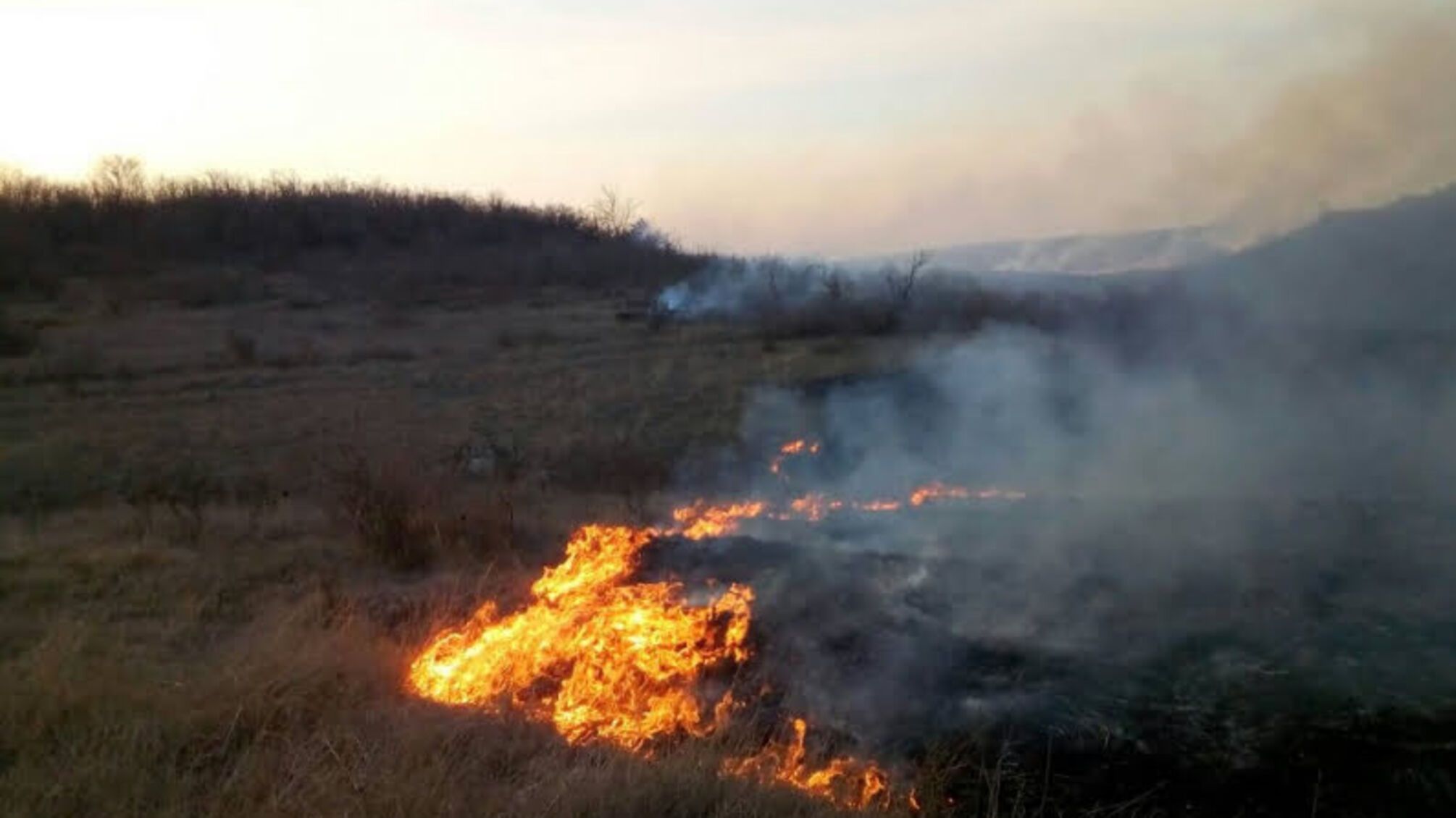 Миколаївська область: протягом доби виникло 7 пожеж на відкритій території площею понад 10 га