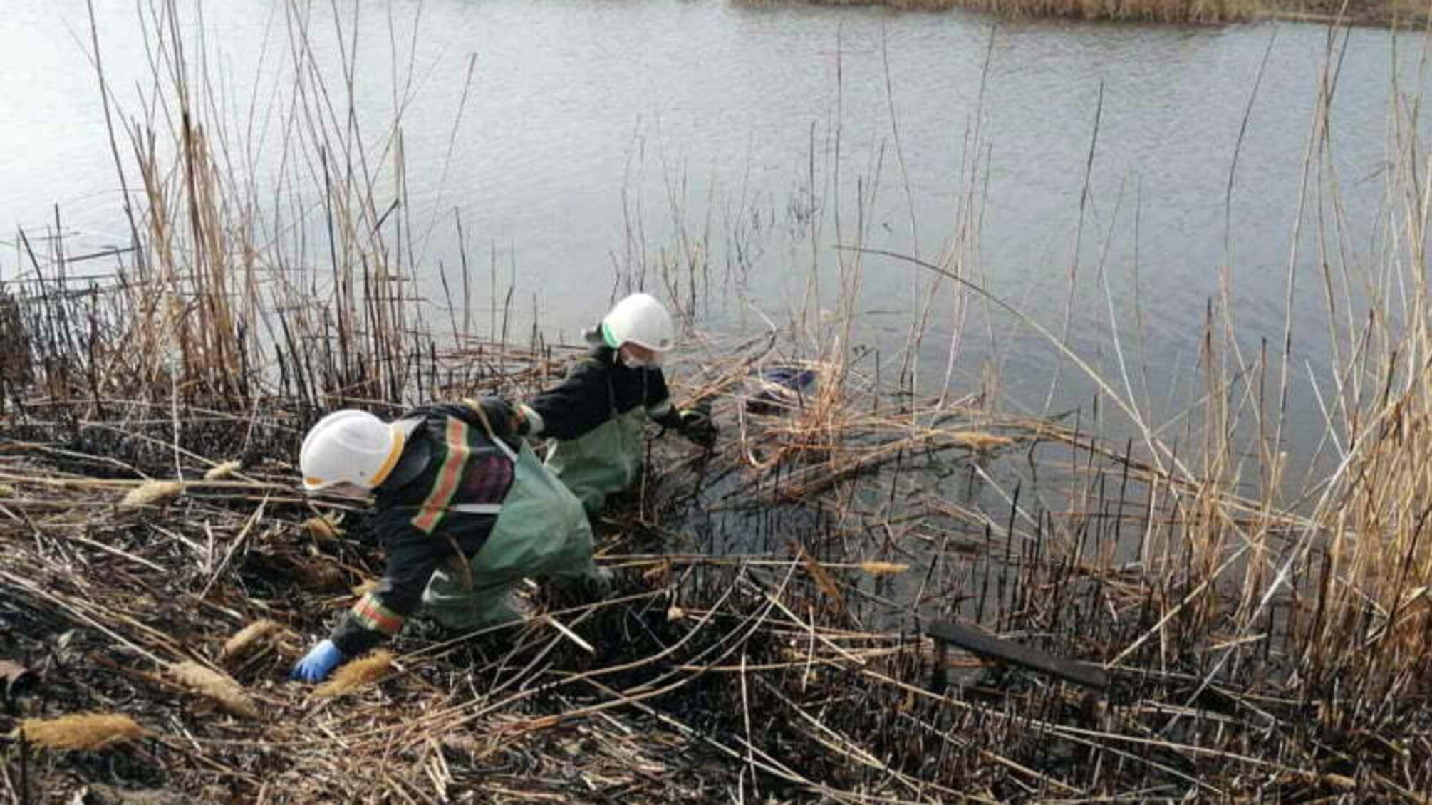 Дніпропетровська область: рятувальники вилучили з водойми тіло жінки