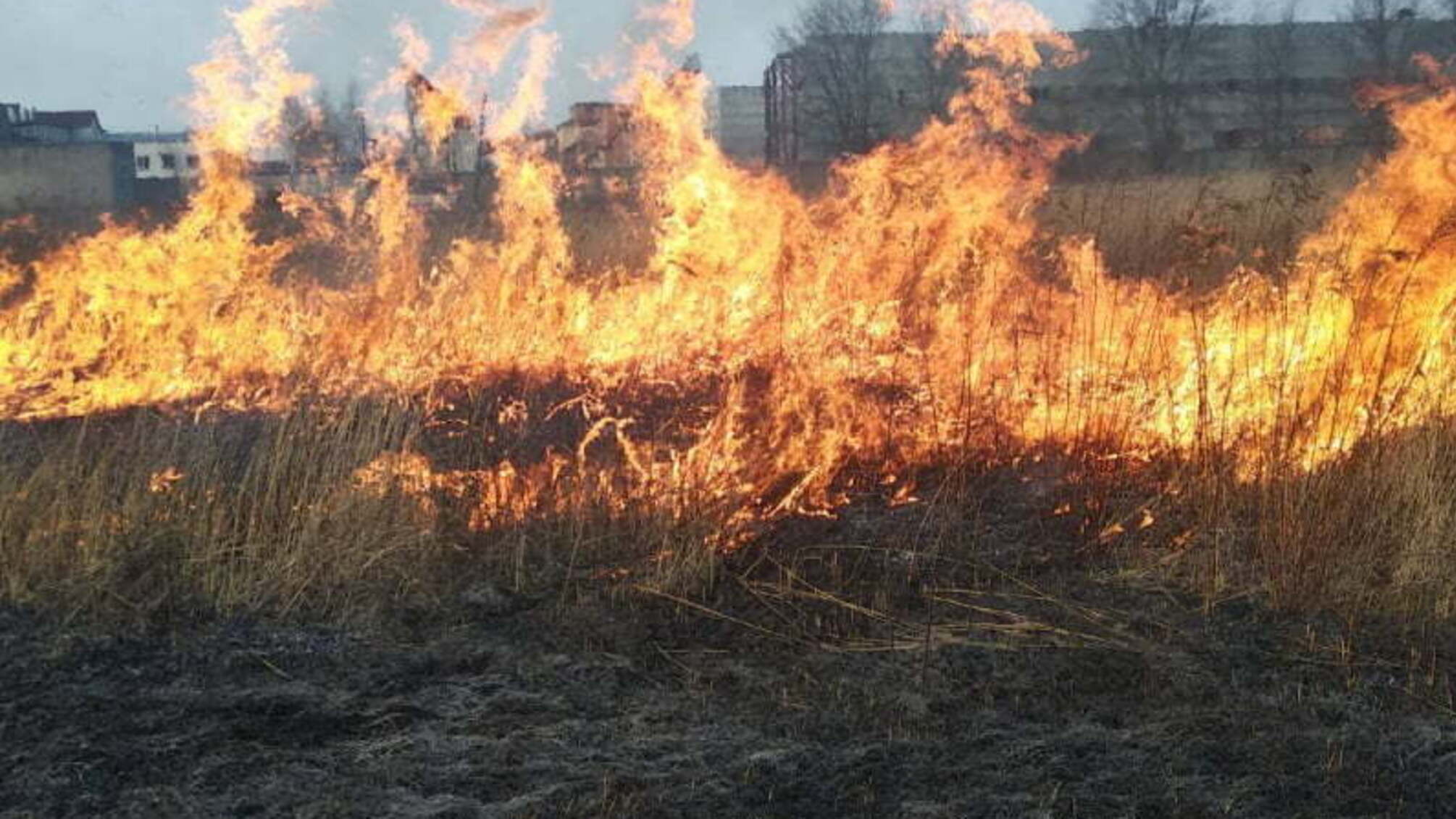 Житомирська область: рятувальники ліквідували загоряння сухотрав’я, що перекинулося на приватне домоволодіння