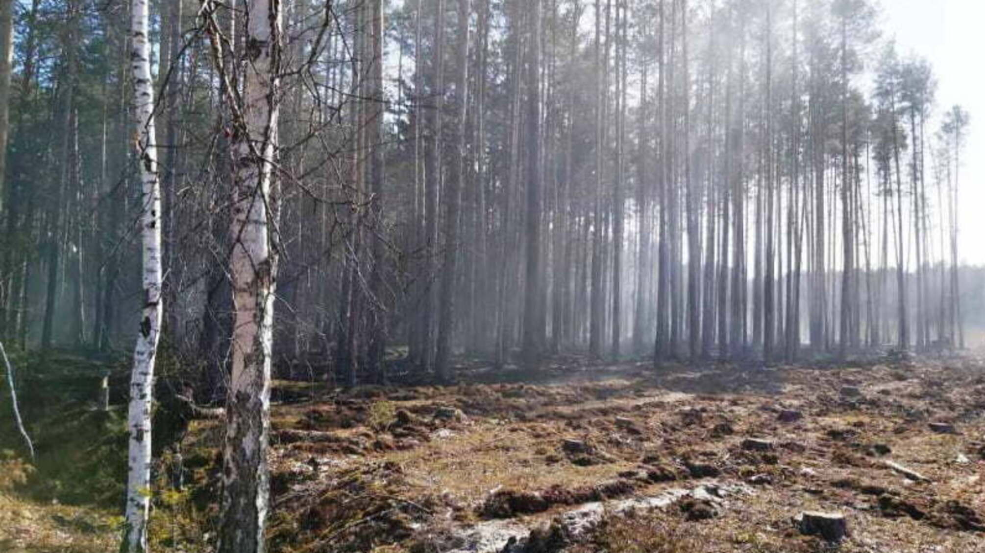 Житомирська область: упродовж доби зафіксовано 7 займань залишків сухої рослинності