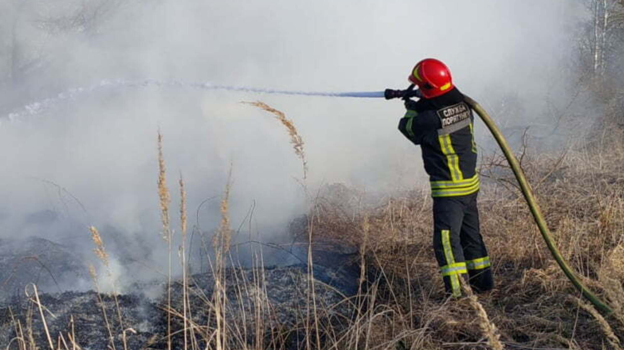 м. Київ: 25 березня столичні вогнеборці 11 разів виїжджали на гасіння пожеж в екосистемах