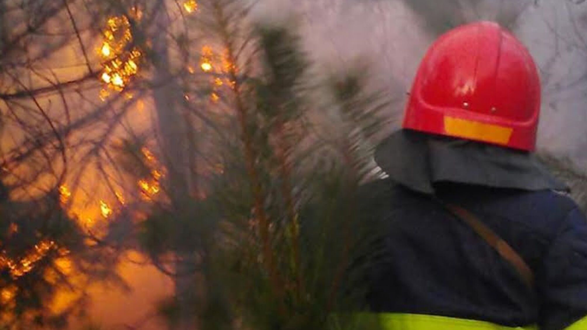 Полтавська область: за минулу добу вогнеборці ліквідували 21 пожежу на відкритій території та 1 лісову пожежу