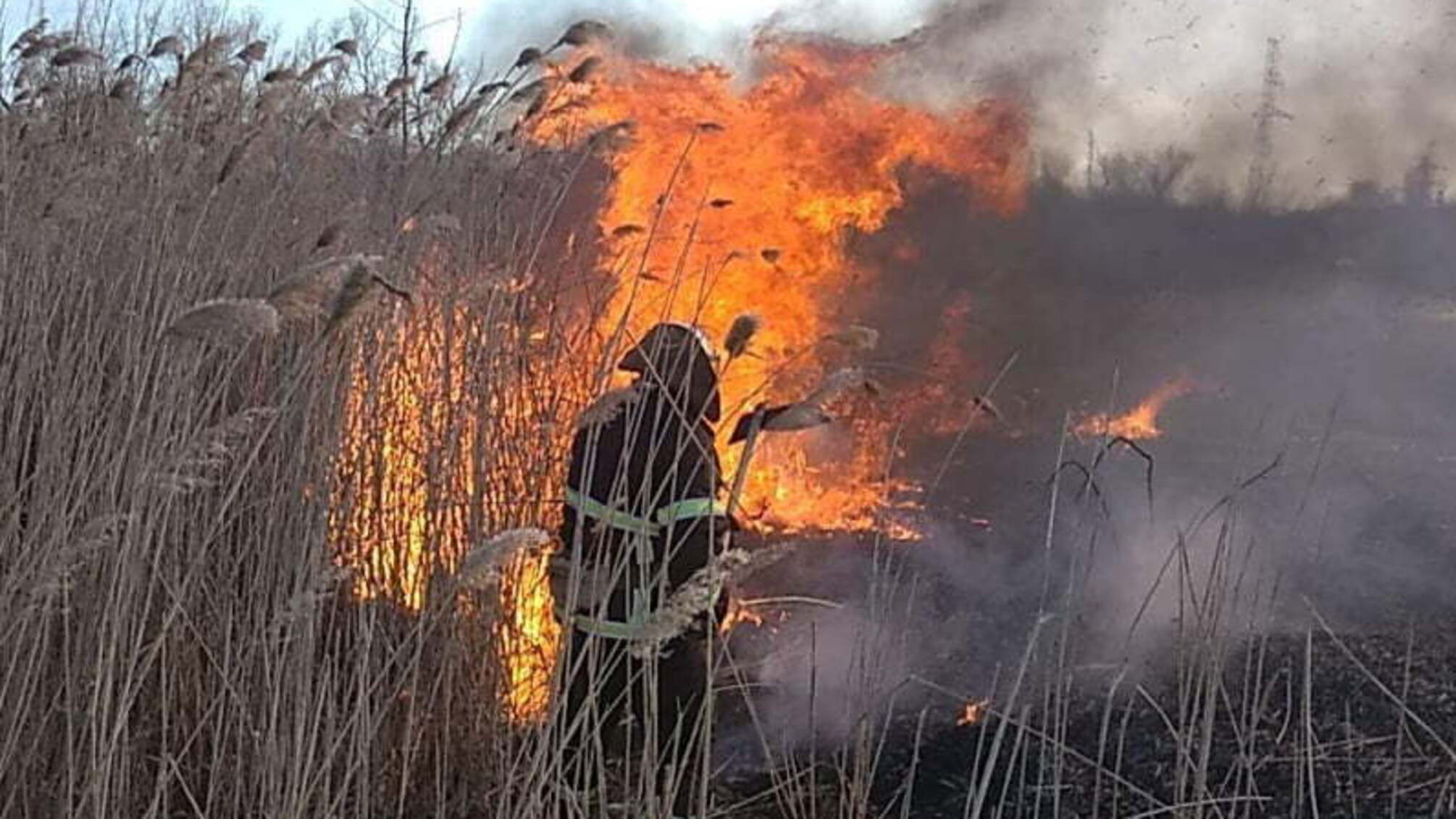 За добу, що минула, на Кіровоградщині ліквідовано 6 займань на відкритій території