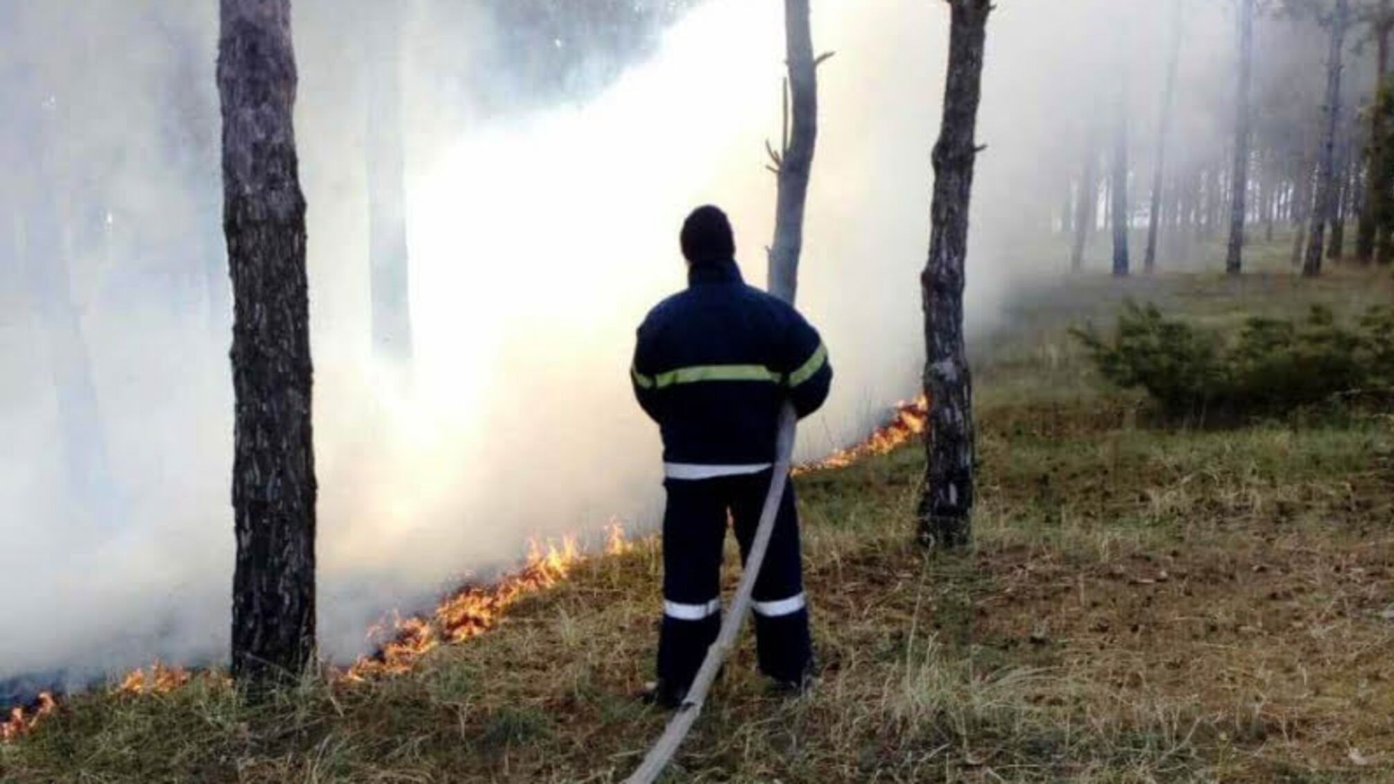 Херсонська область: за добу 6 разів горіли суха трава, підстилка та очерет