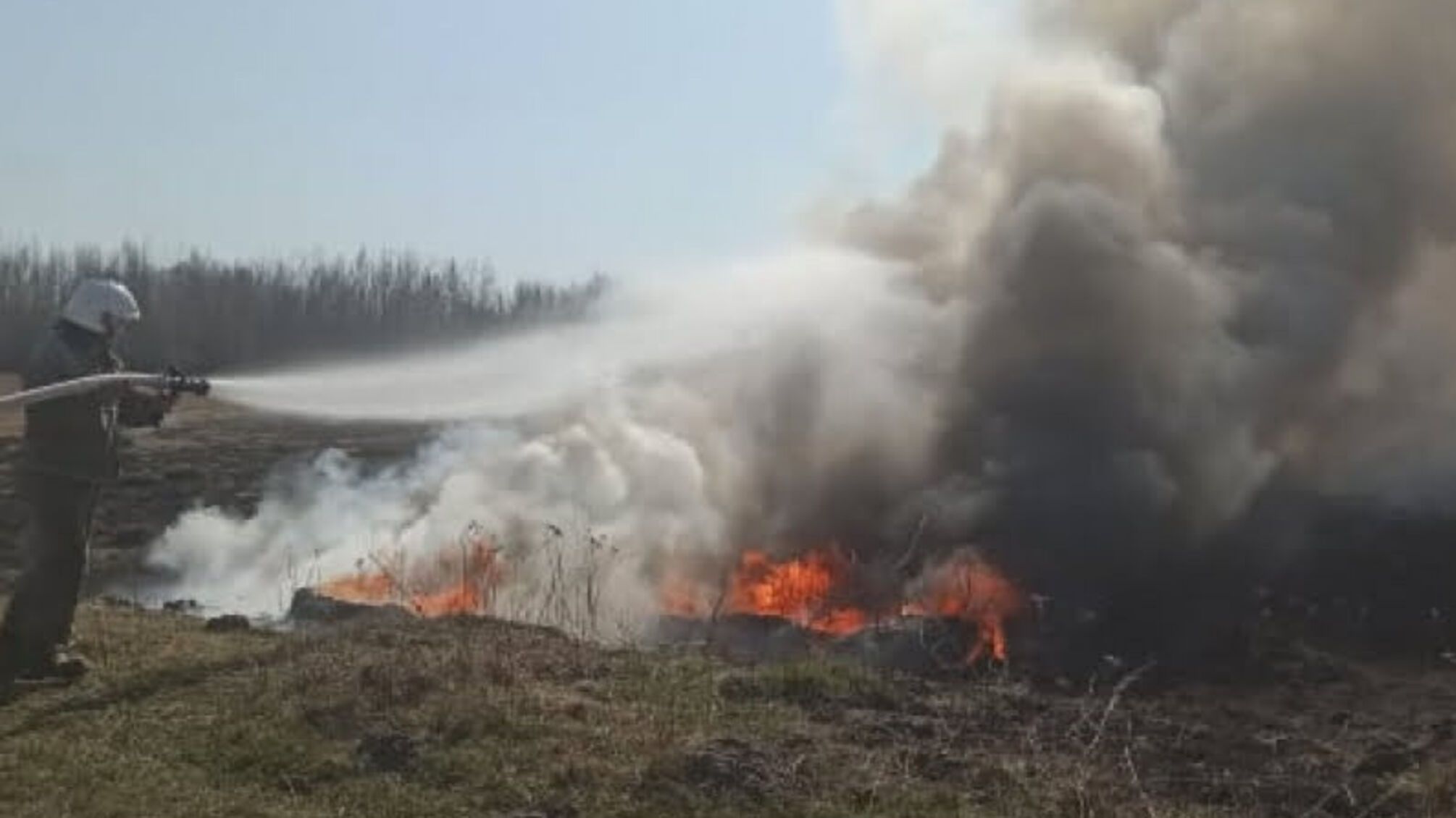 На Вінниччині за минулу добу ліквідовано 35 пожеж в екосистемах (ВІДЕО)