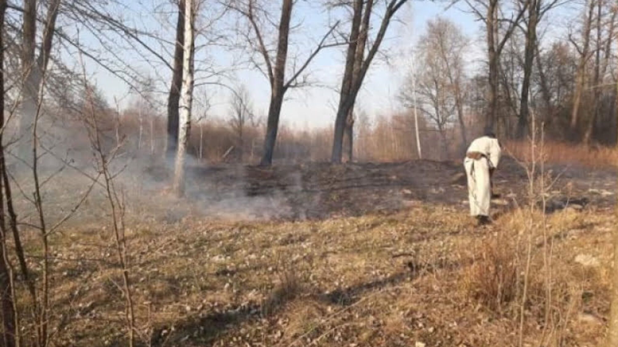 Житомирська область: протягом доби ліквідовано 35 пожеж сухої рослинності, на одній з яких виявлено загиблого пенсіонера