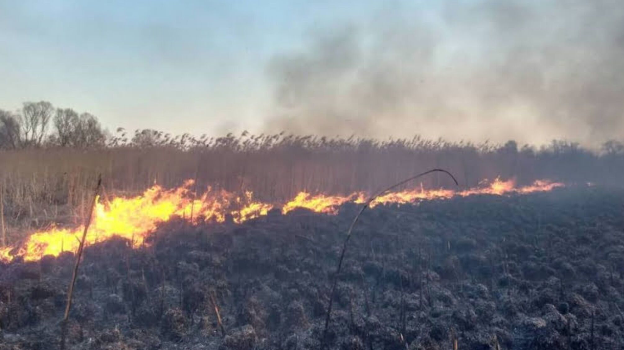 Упродовж минулої доби на Чернігівщині вогнеборці ліквідували 54 пожежі