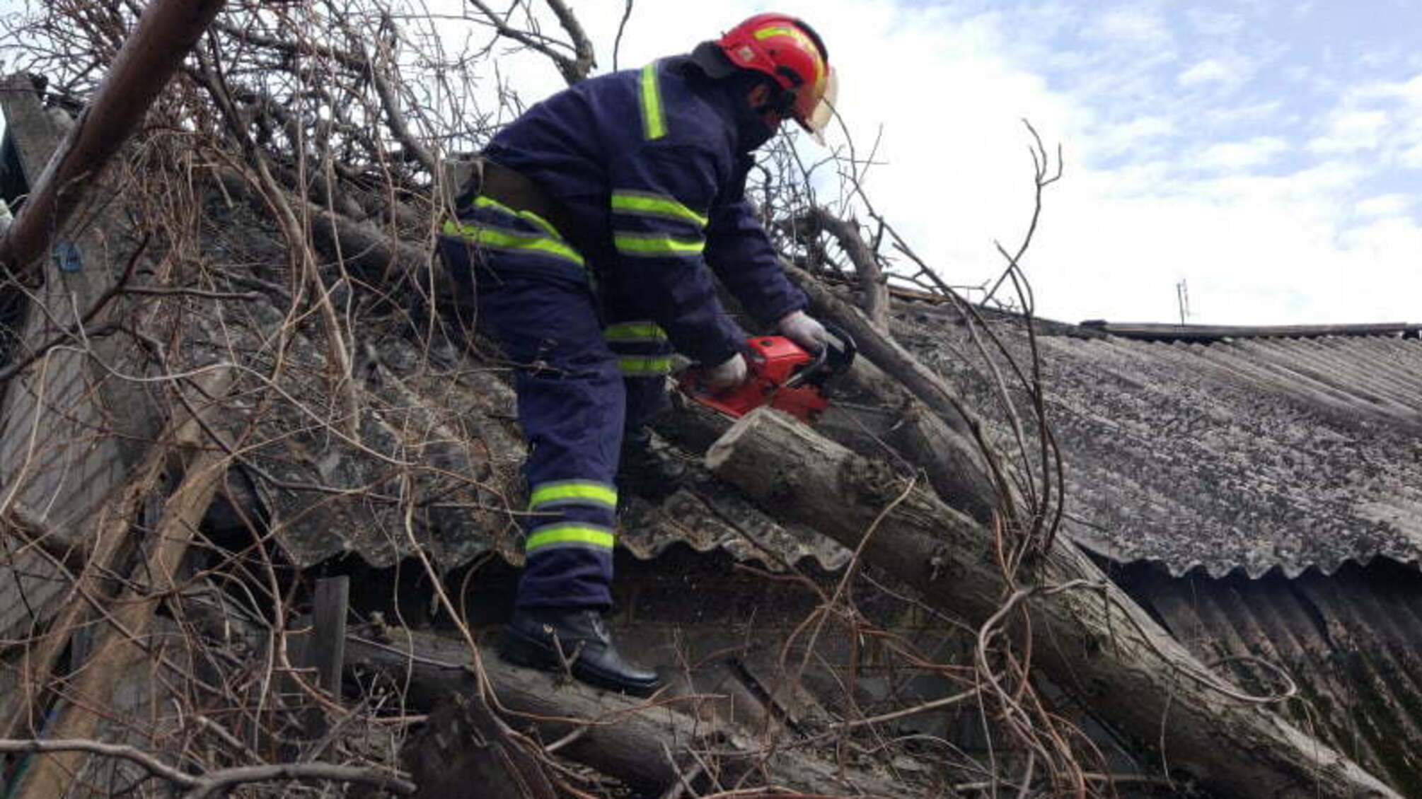 Донецька область: рятувальники спиляли аварійне дерево, що впало на гараж
