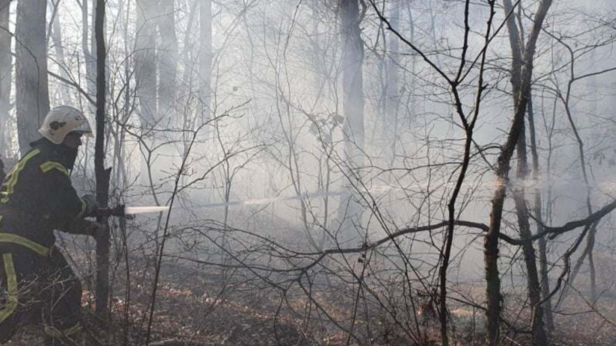 Київська область: за добу рятувальниками ліквідовано 101 пожежу в природних екосистемах (Відео)