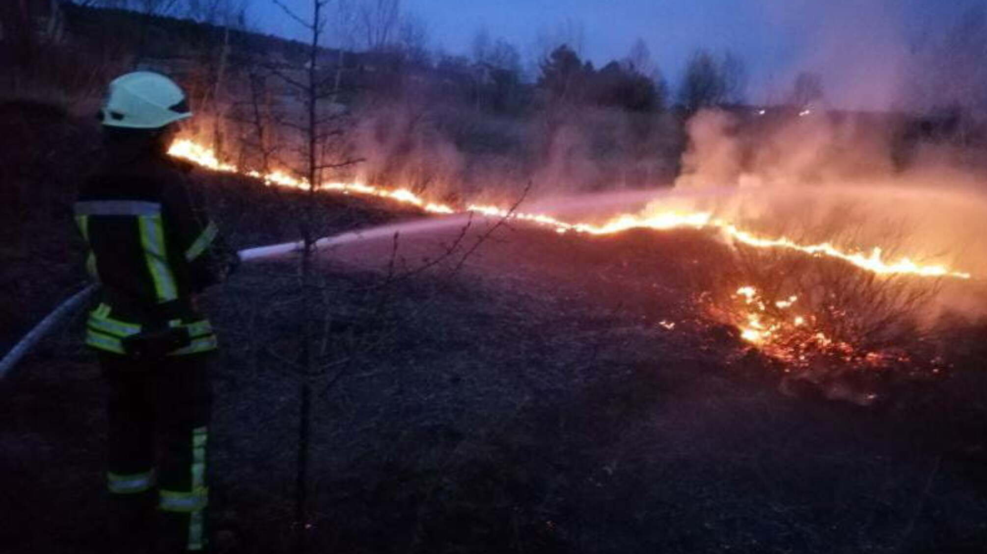 Луганська область: великі пожежі в екосистемах