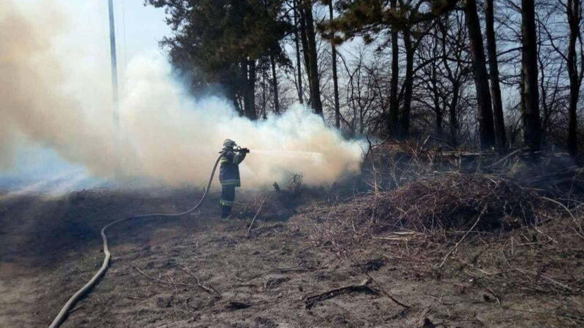 Вінницька область: за минулу добу ліквідовано 43 пожежі в екосистемах
