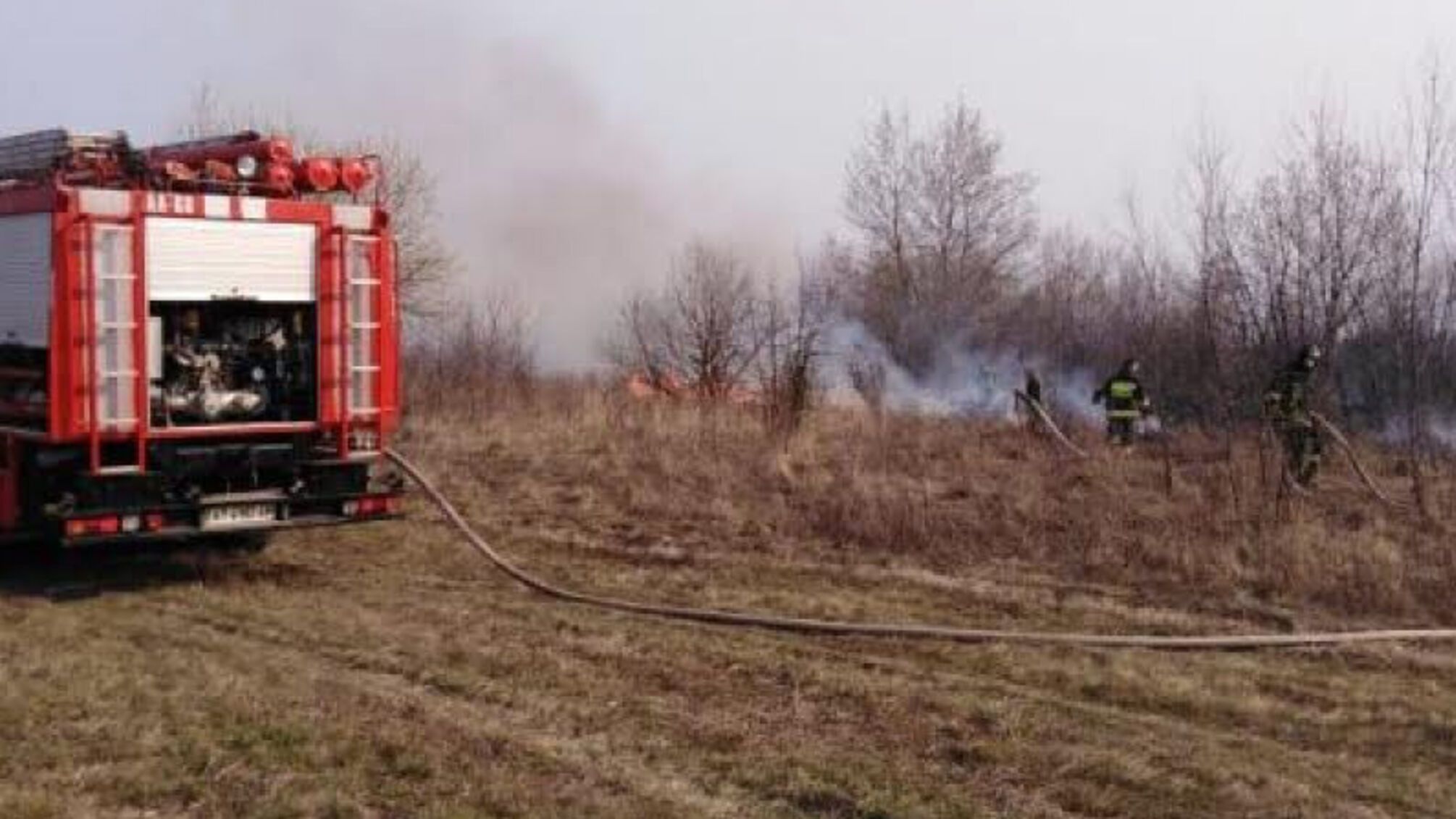 Івано-Франківська область: за минулу добу вогнеборці ліквідували 44 пожежі в природних екосистемах
