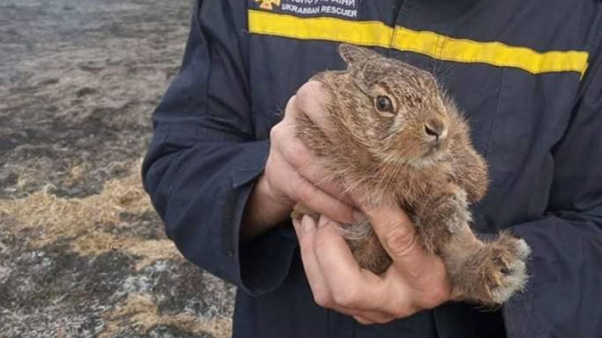 Рятувальники Львівщини просять громадян припинити випалювання сухої трави