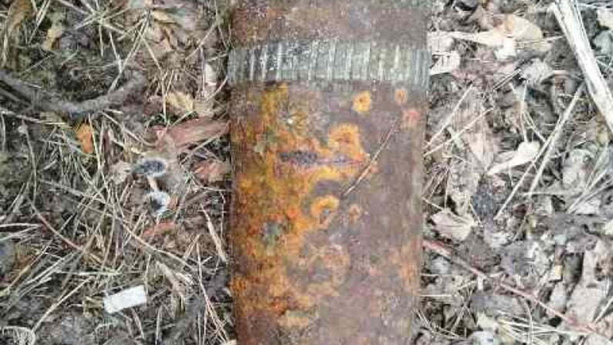 Житомирська область: знищено 2 артснаряди, знайдені напередодні вихідних