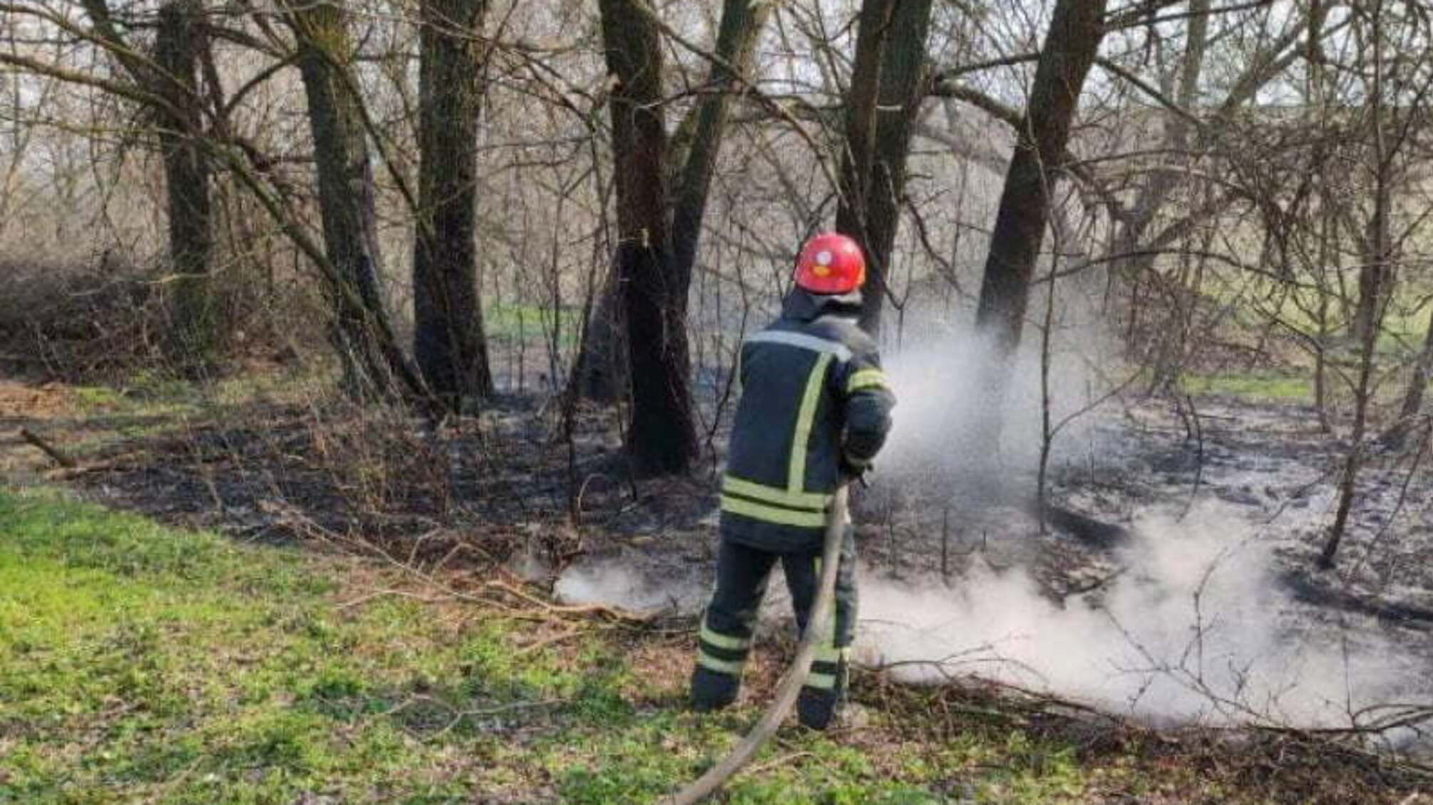 Кіровоградська область: за минулу добу вогнеборцями ліквідовано 11 пожеж в екосистемах