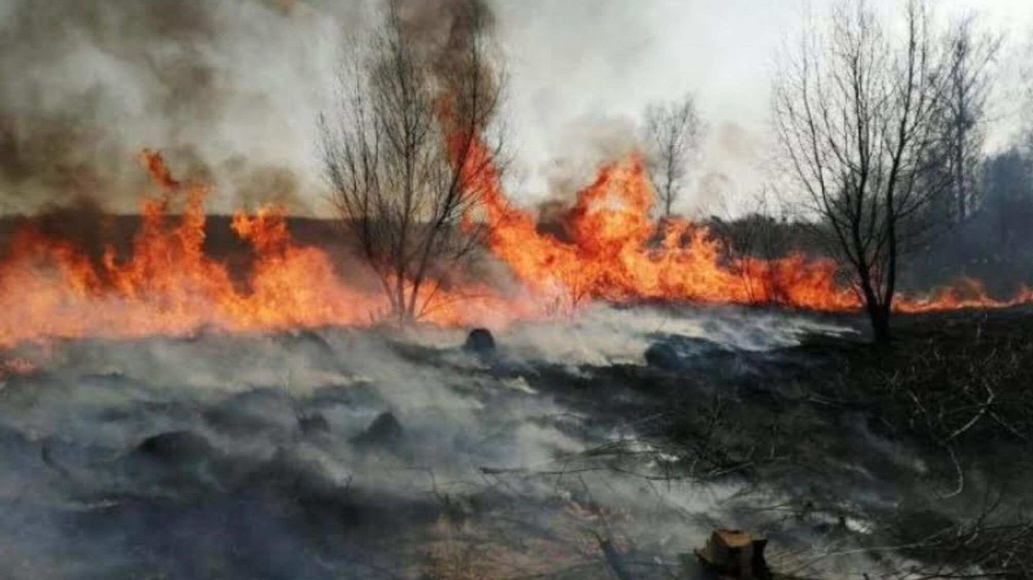 Чернігівська область: упродовж минулої доби рятувальники здійснювали заходи з ліквідації 23 пожеж в екосистемах