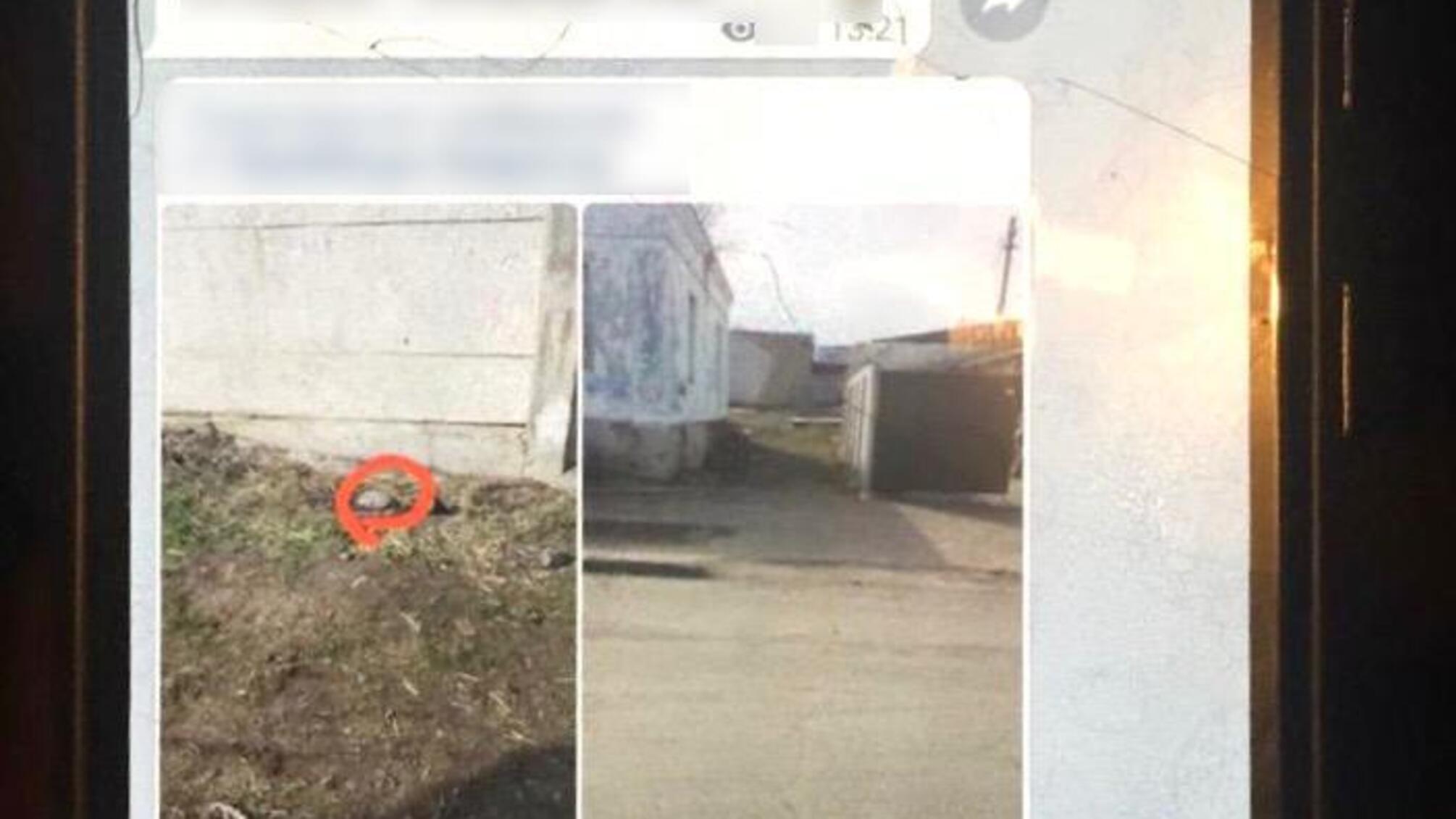Поліція викрила групу наркозбувачів, які тривалий час діяли в Лозівському районі Харківської області
